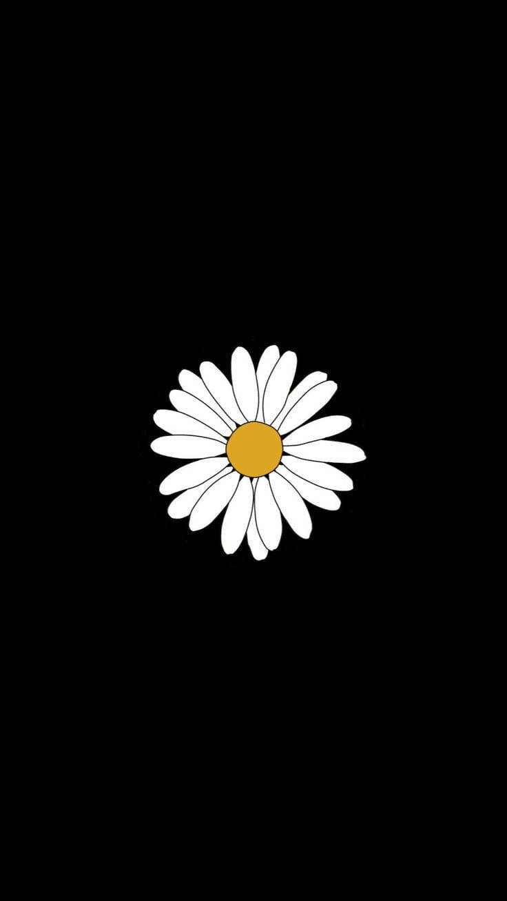 Simple White Daisy Aesthetic Black Background