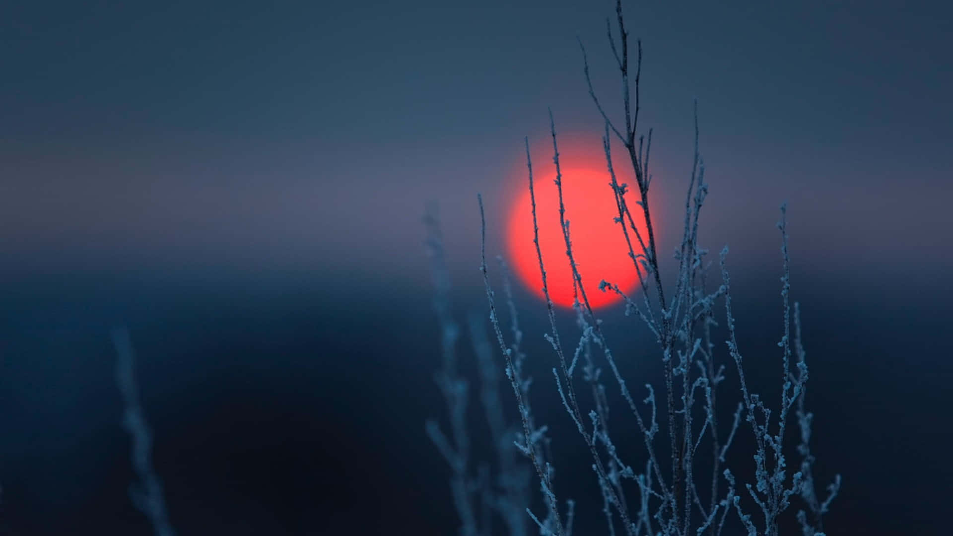 Simple Winter Field Of Grass Red Sun Background