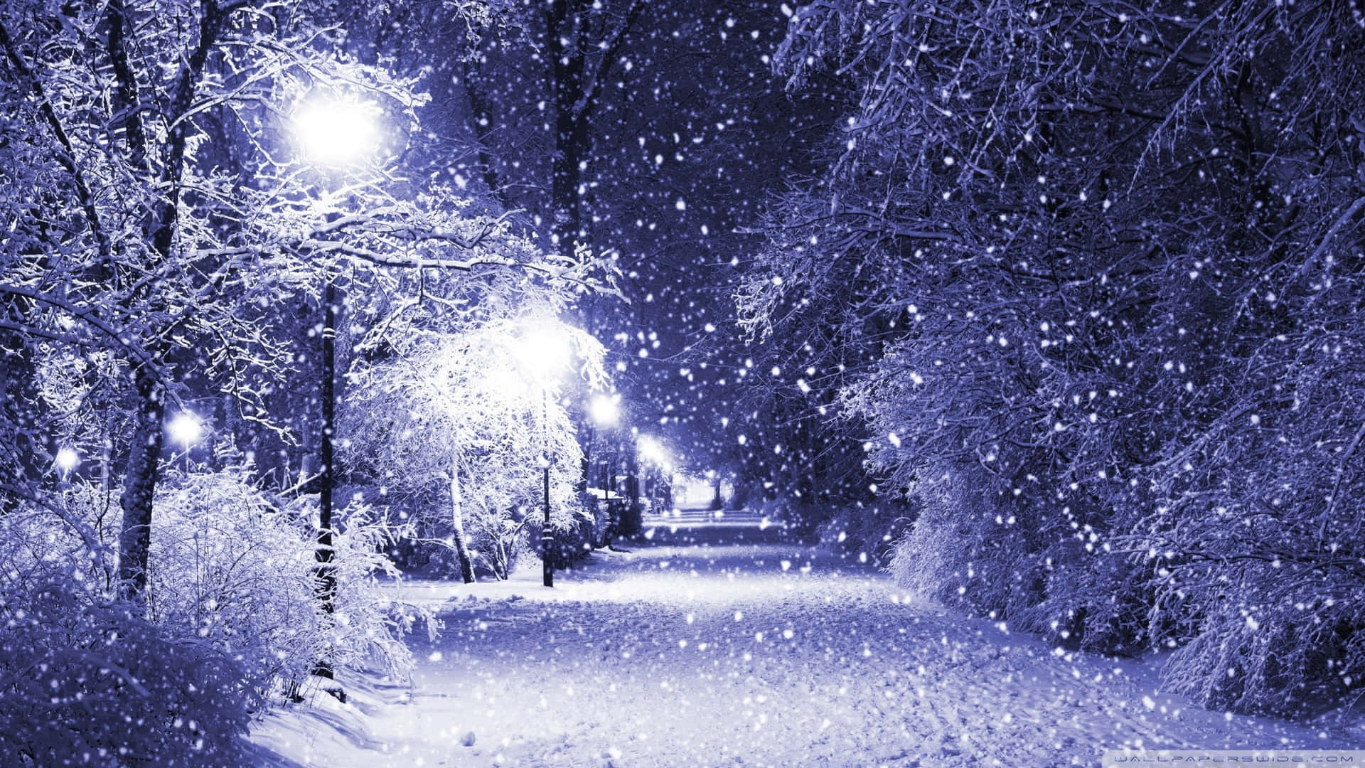 Simple Winter Snowy Path Lights And Trees Background