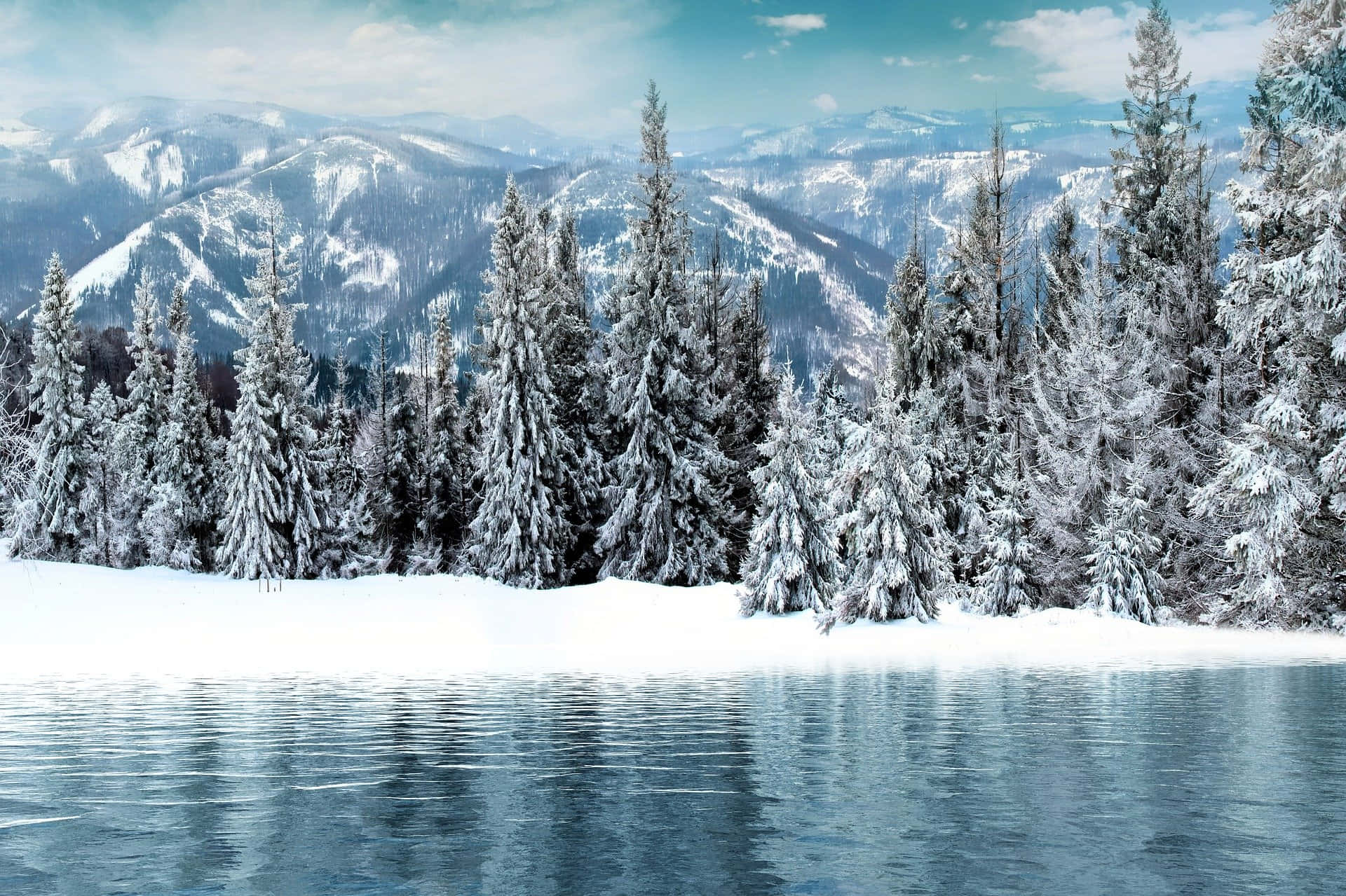 Simple Winter Trees Mountain Lake Background