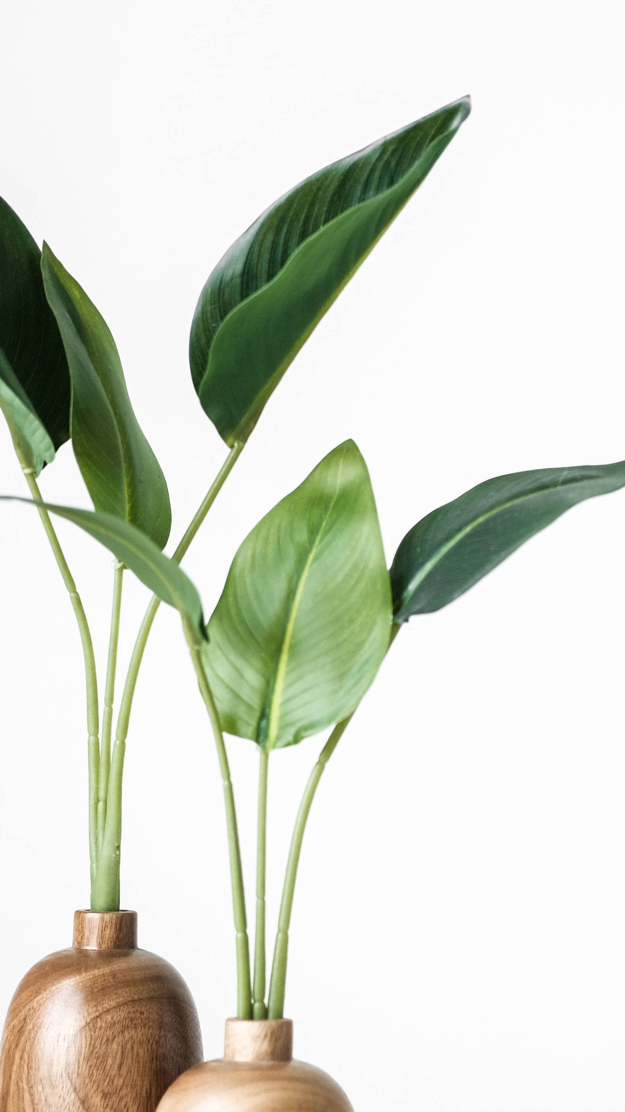 Simplicity Meets Nature - Minimalist Plant In Wooden Vase Background