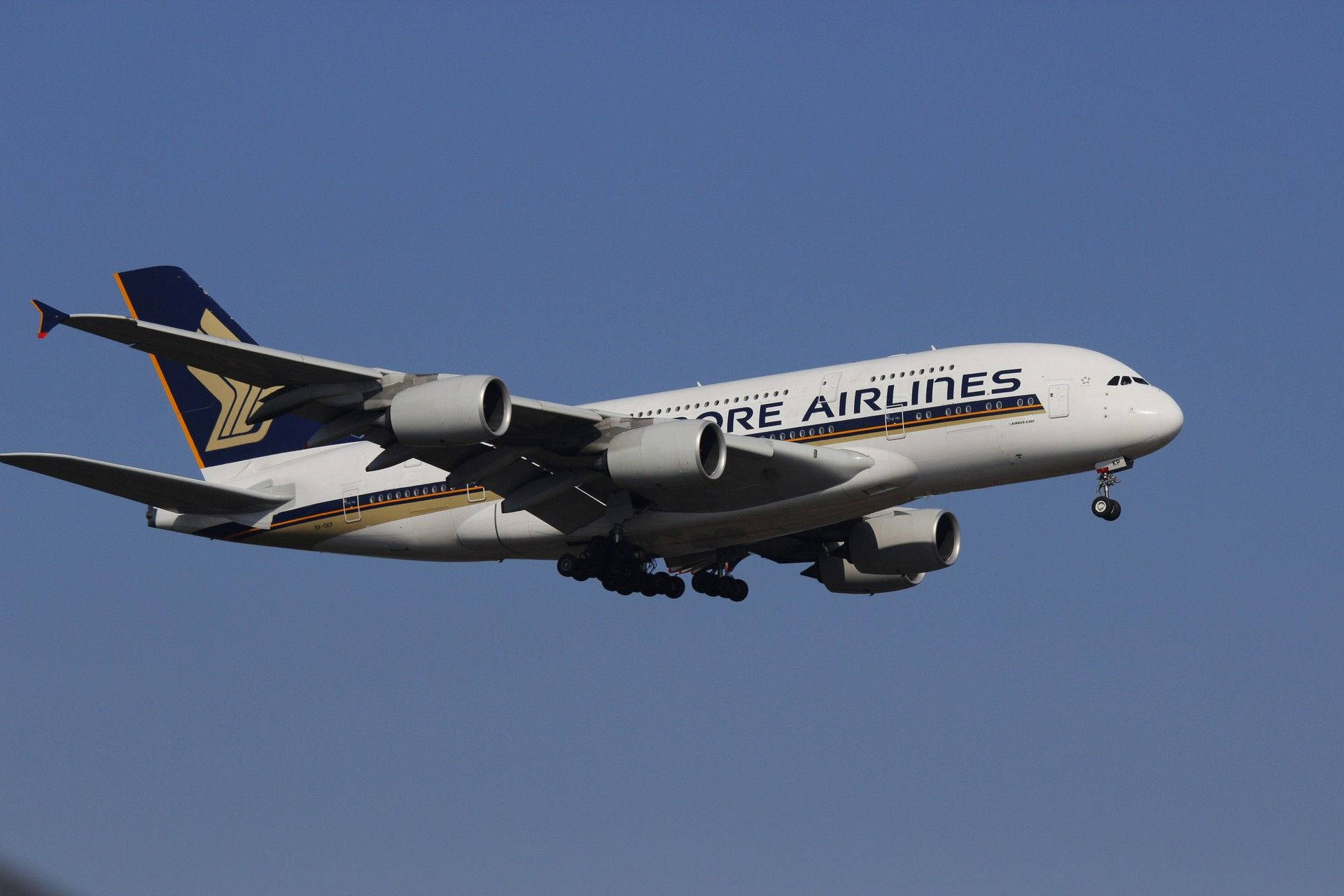 Singapore Airlines Clear Blue Background