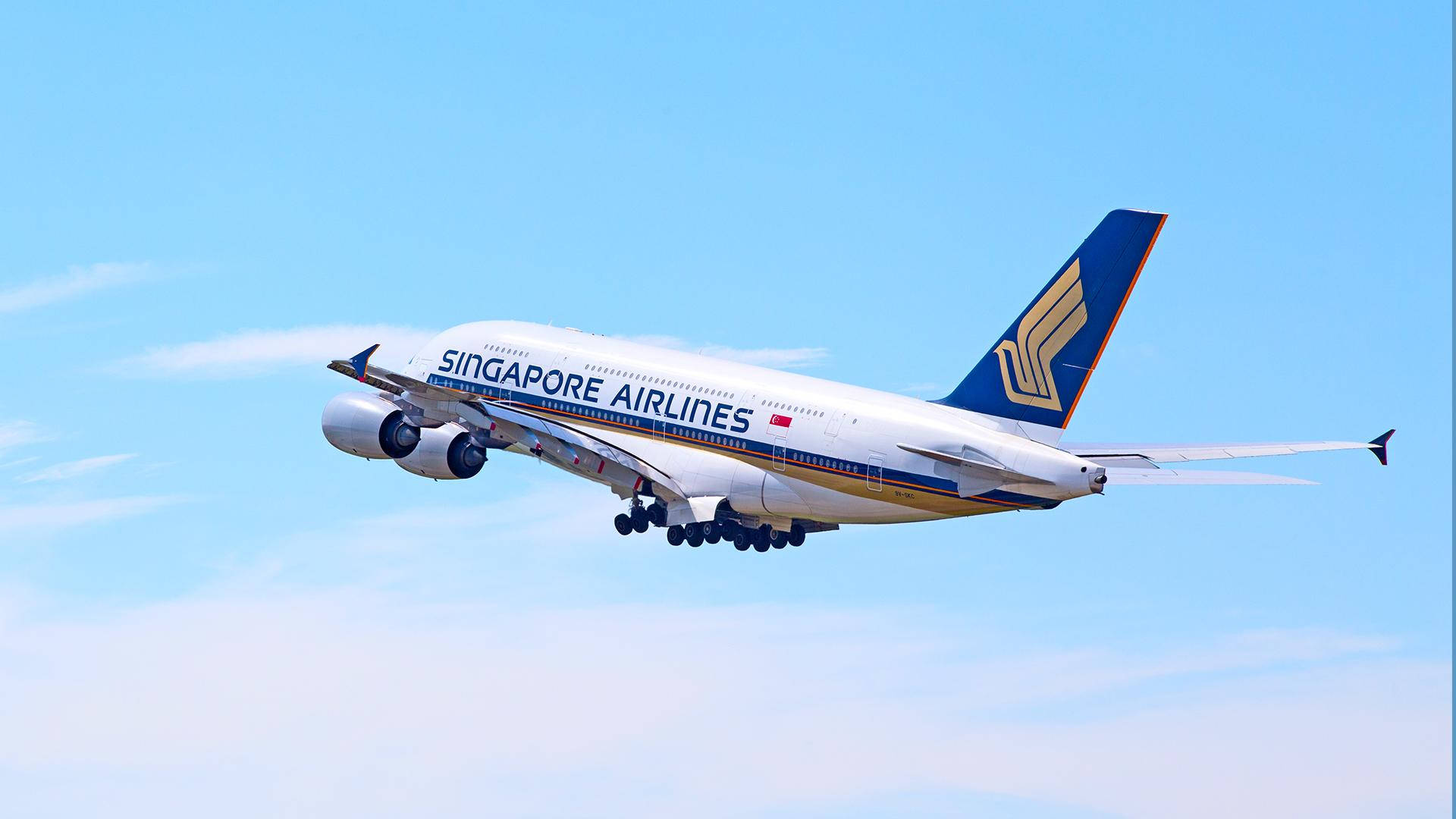 Singapore Airlines Light Sky