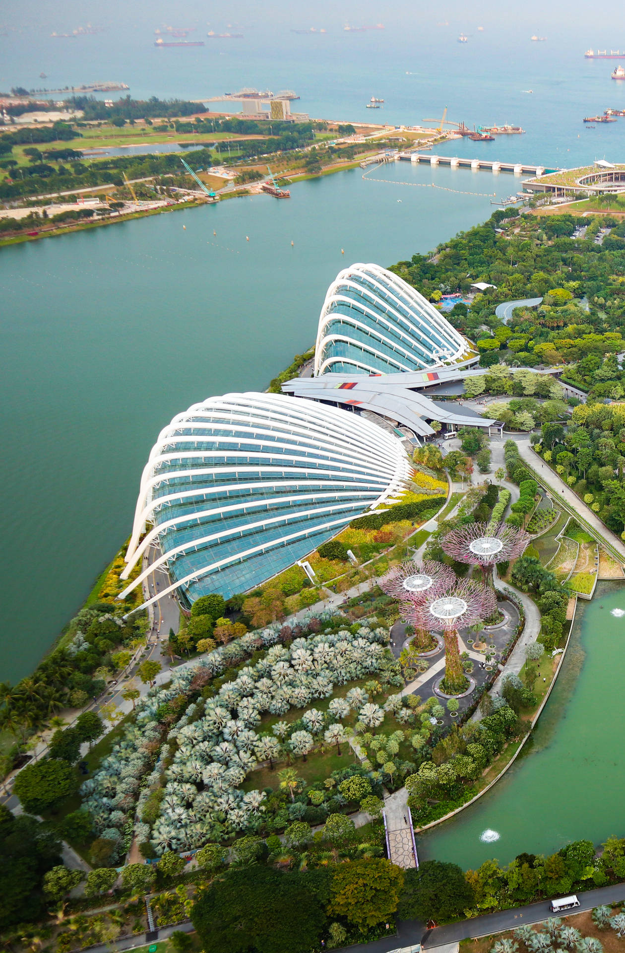 Singapore Flower Dome Aerial View Background