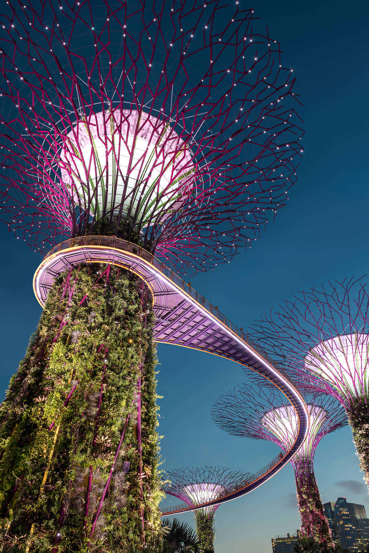 Singapore Garden Supertrees Background