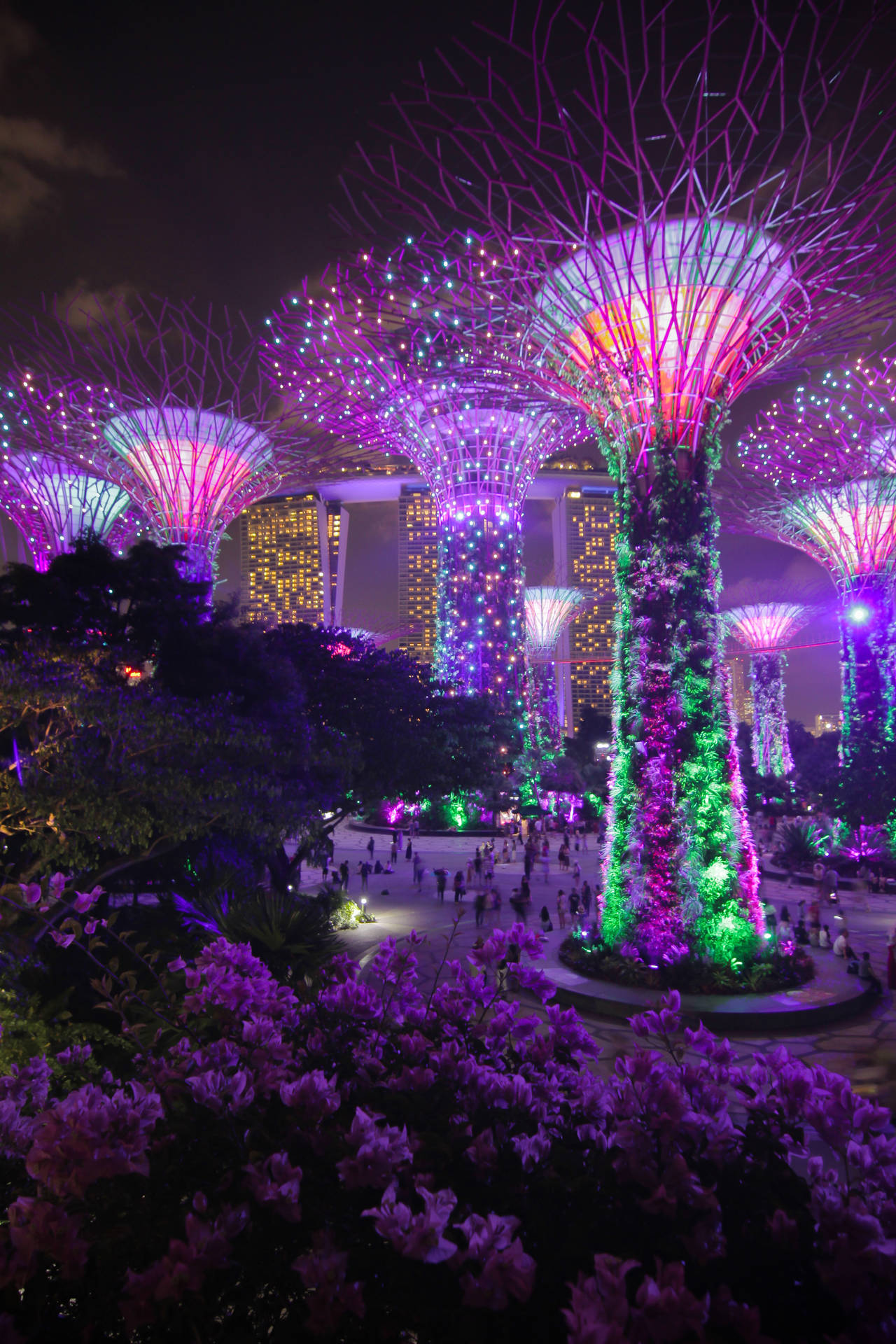 Singapore Purple Supertrees Background