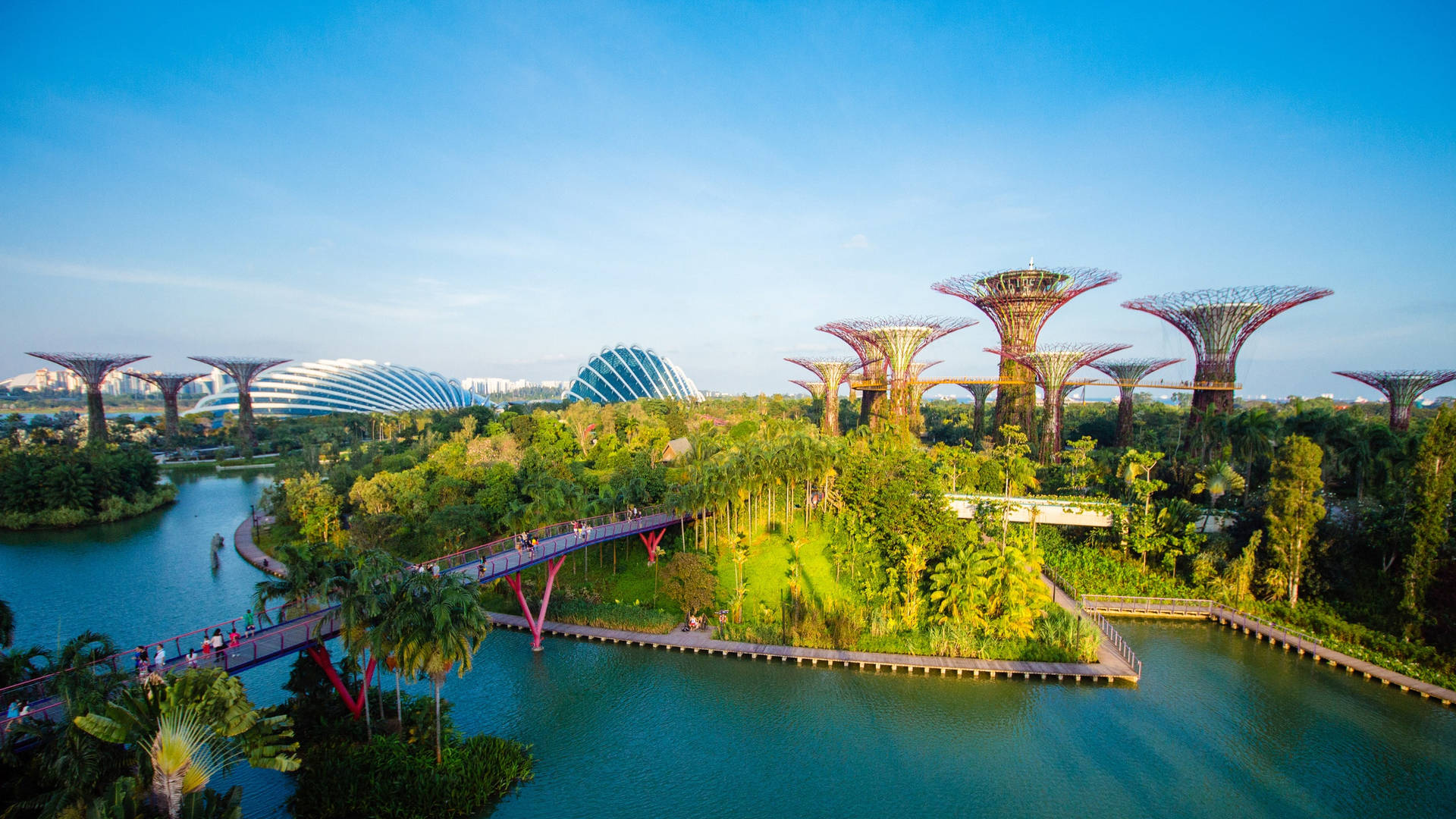 Singapore's Gardens By The Bay Background