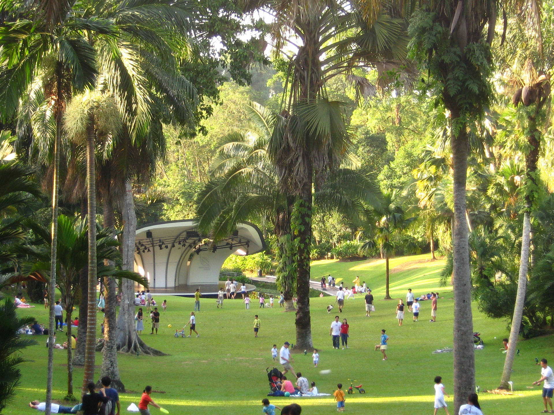 Singapore's Tropical Garden Background