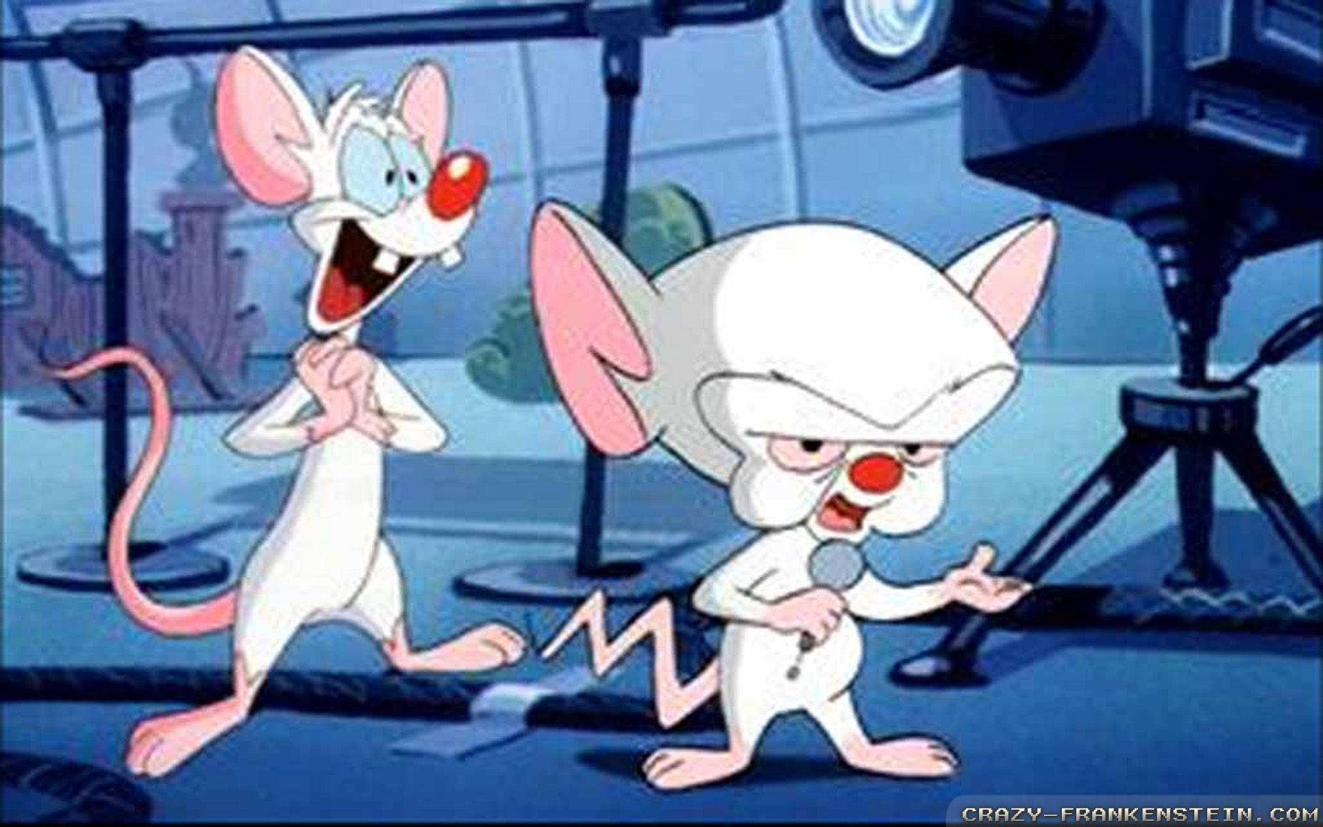 Singing Pinky And The Brain Background