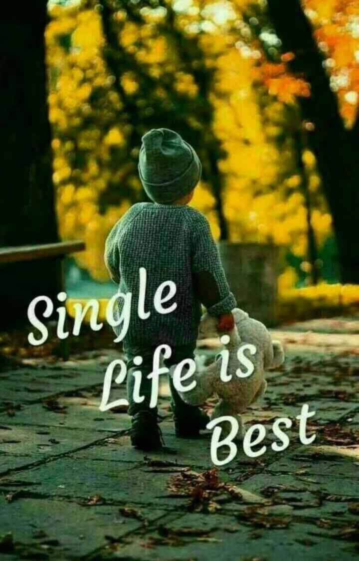 Single Boy Life Is Best