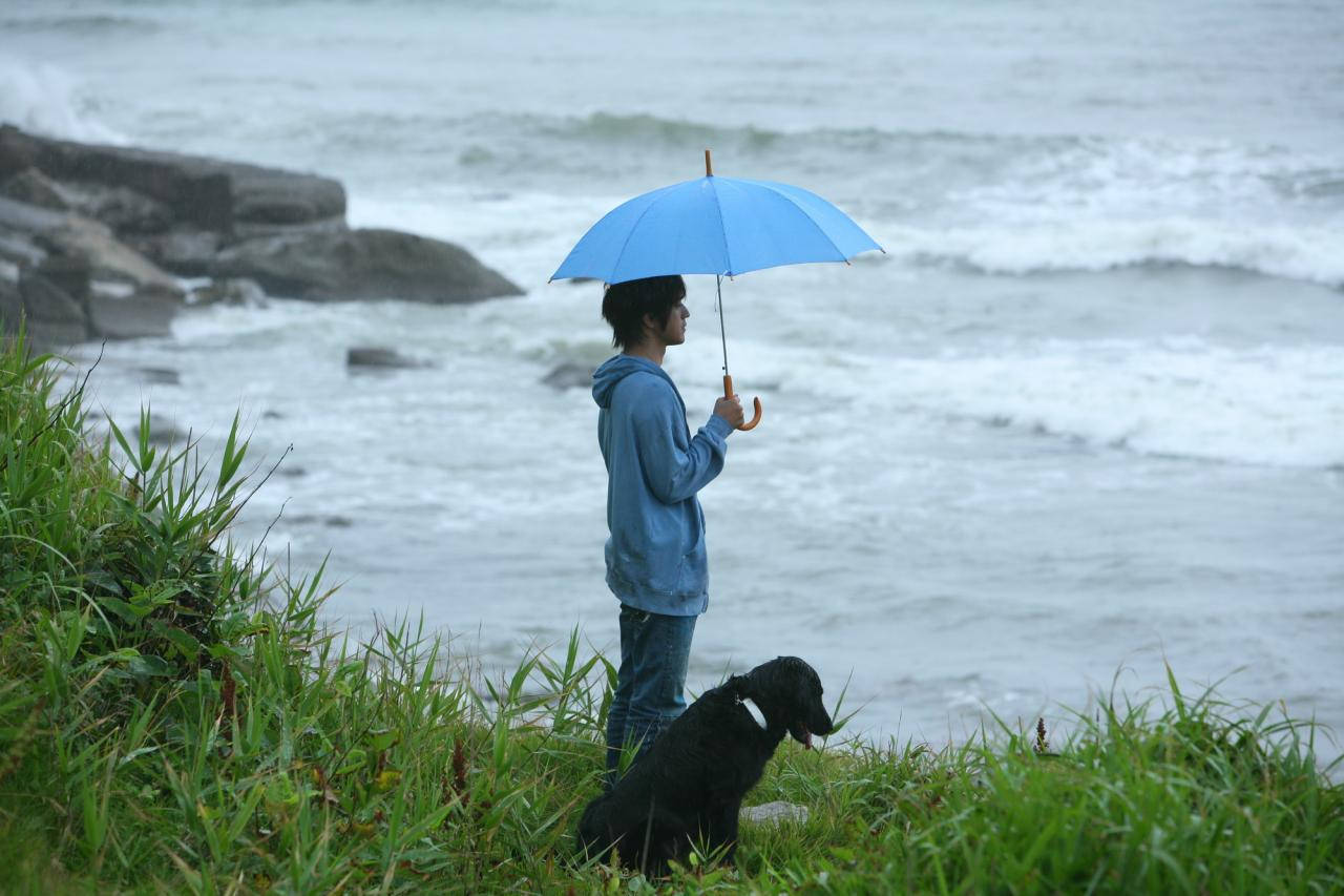 Single Boy With Black Dog Background