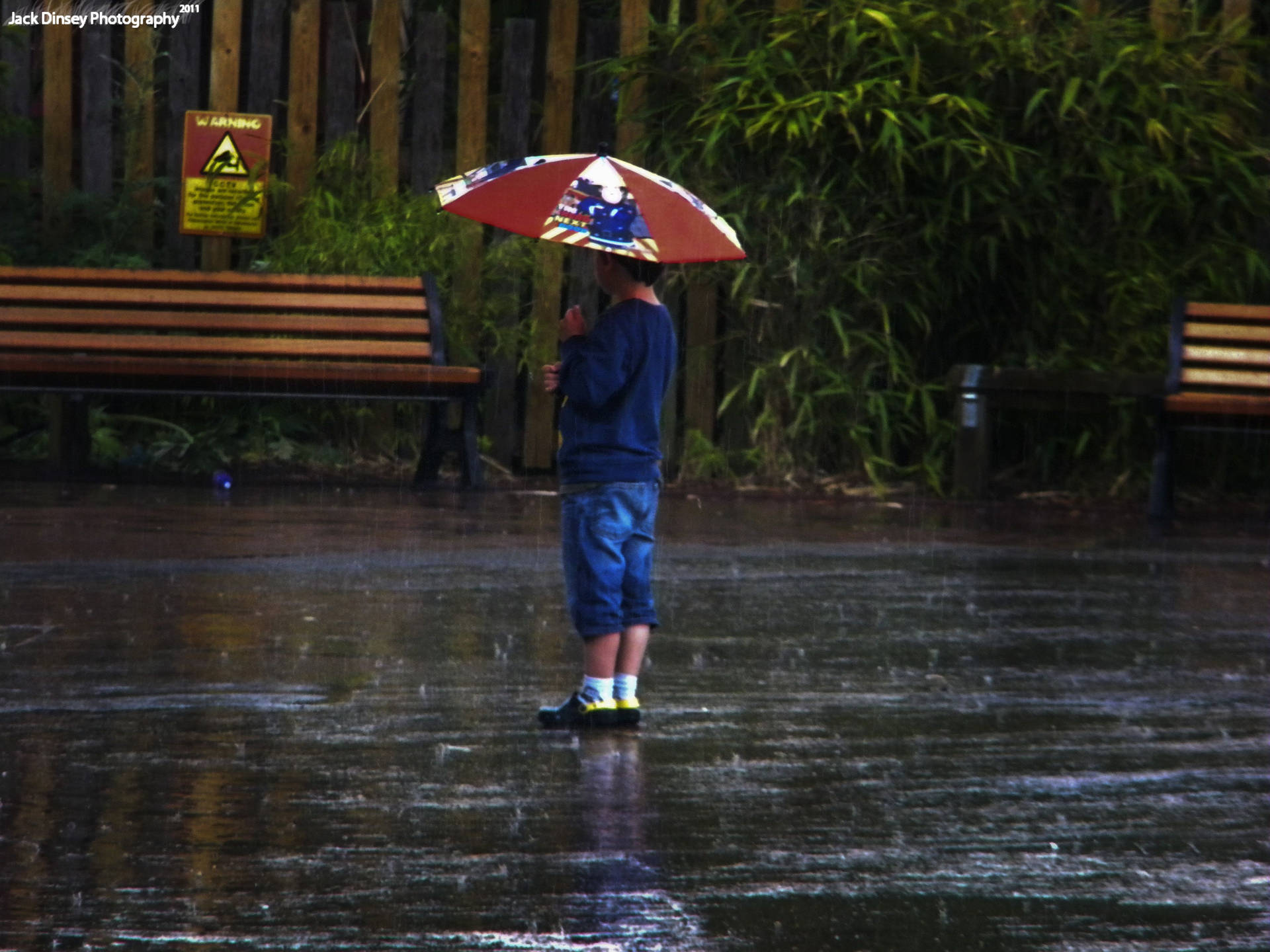 Single Boy With Umbrella In Rain Background