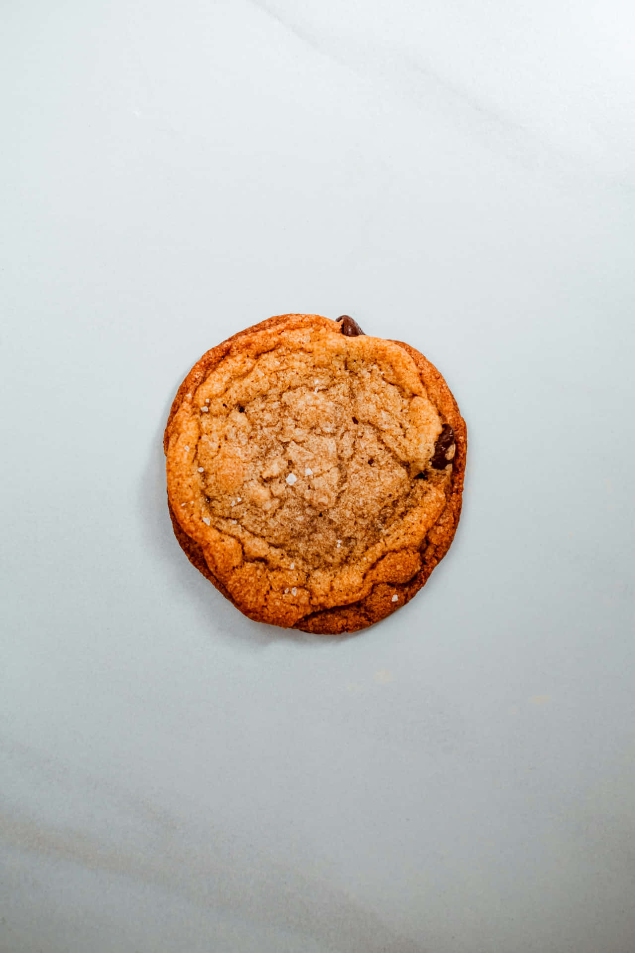 Single Chocolate Chip Cookieon Plain Background.jpg Background