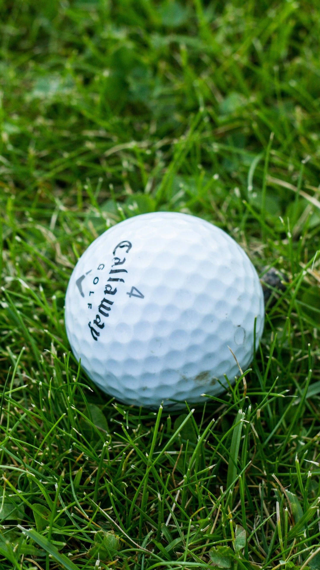 Single Golf Ball Golfing Desktop Background