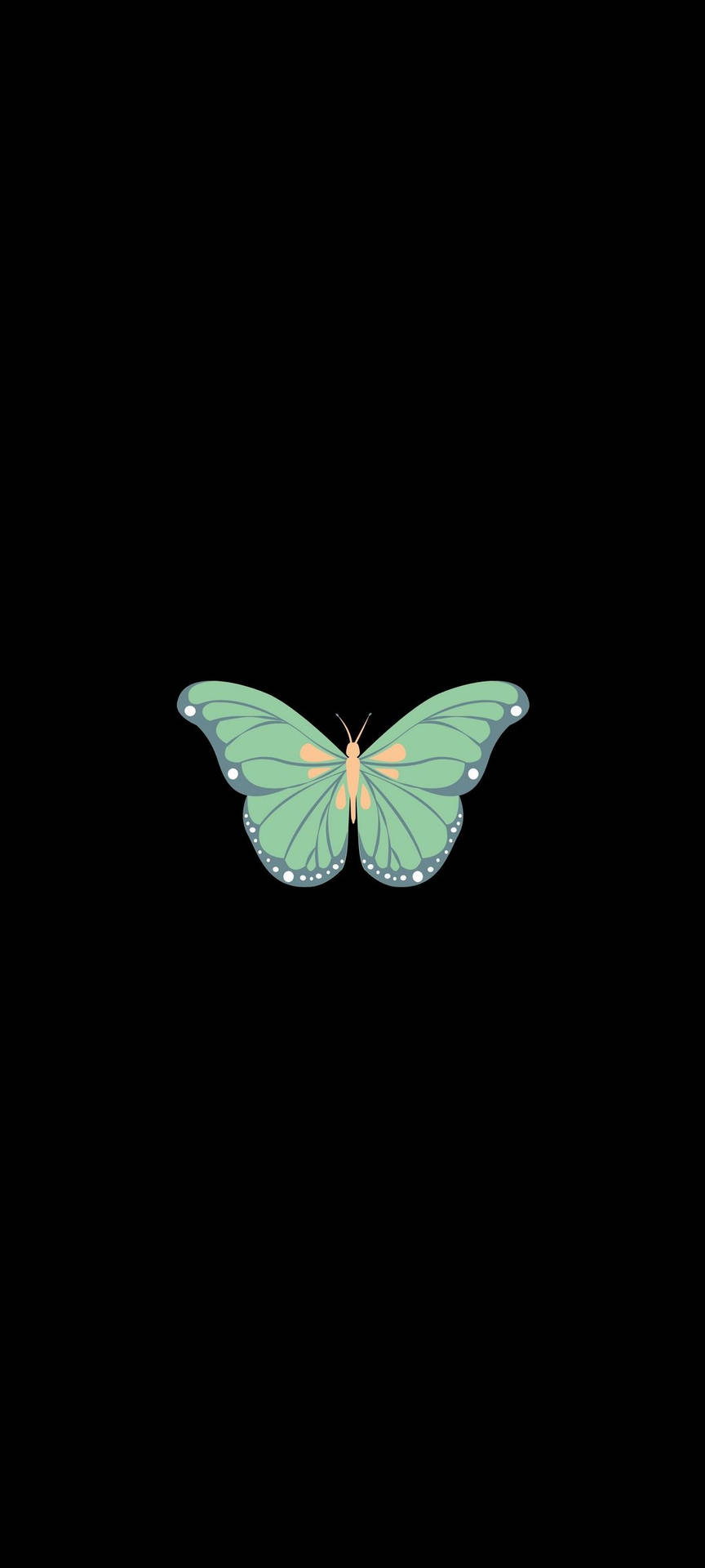 Single Green Butterfly Oneplus 9r Background