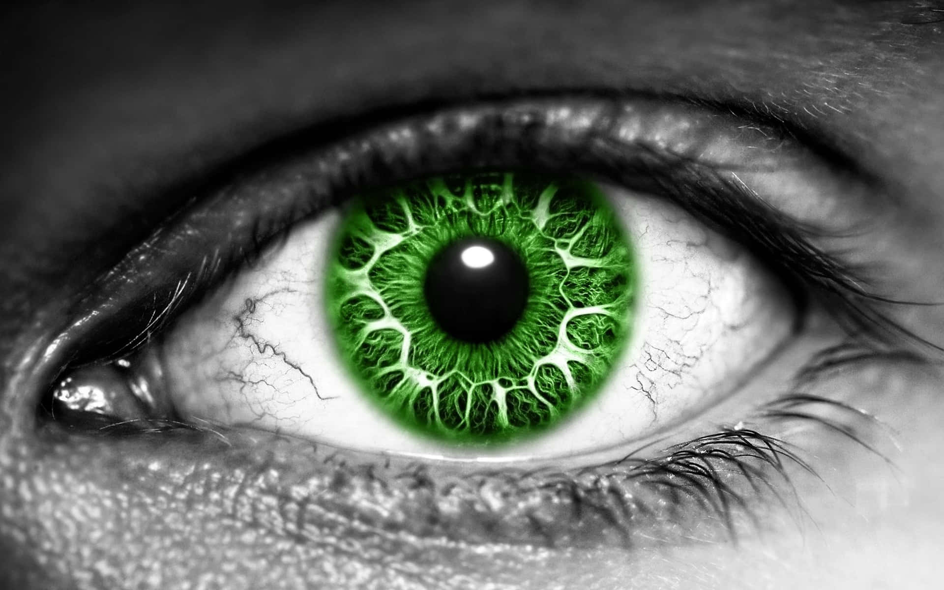 Single Green Eye Digital Art