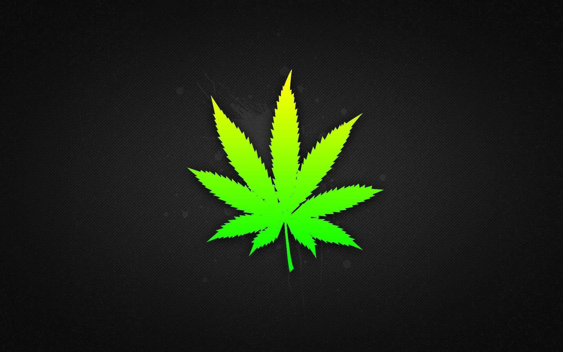 Single Leaf Weed Aesthetic Background