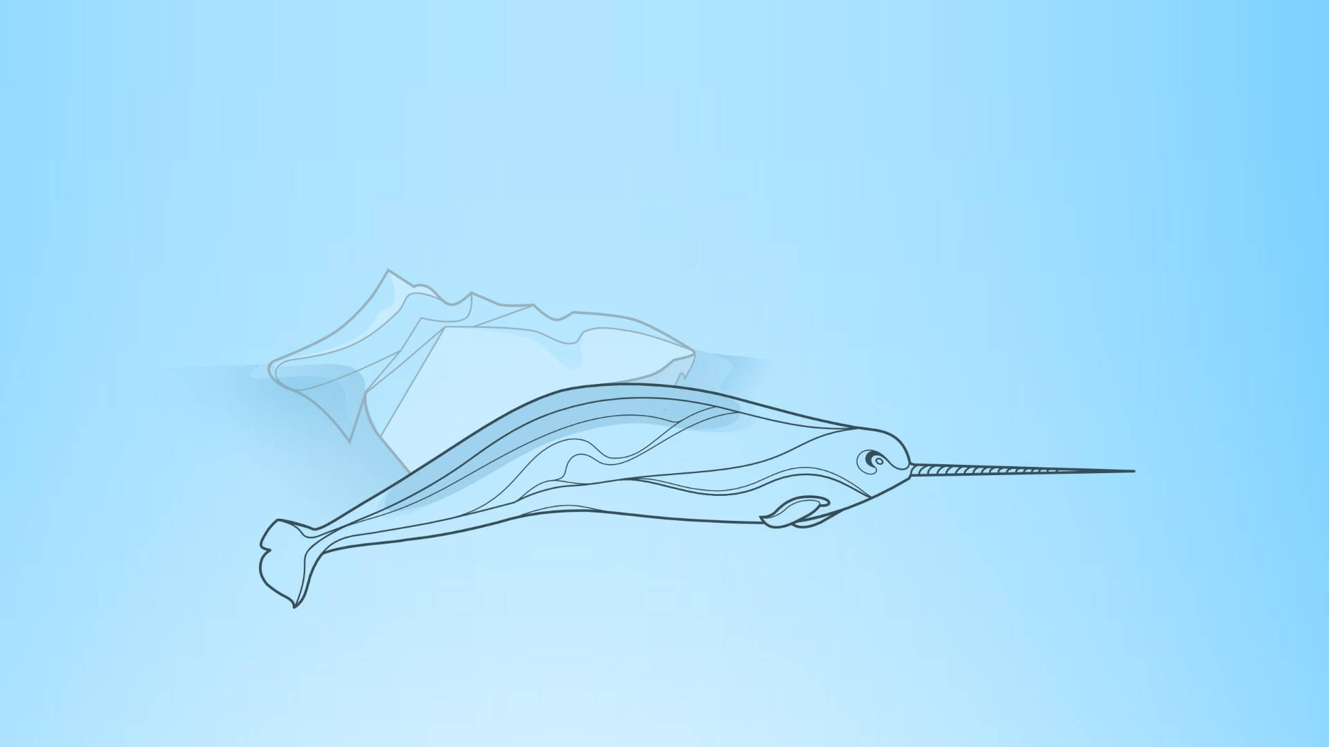 Single Line Narwhal Art Background