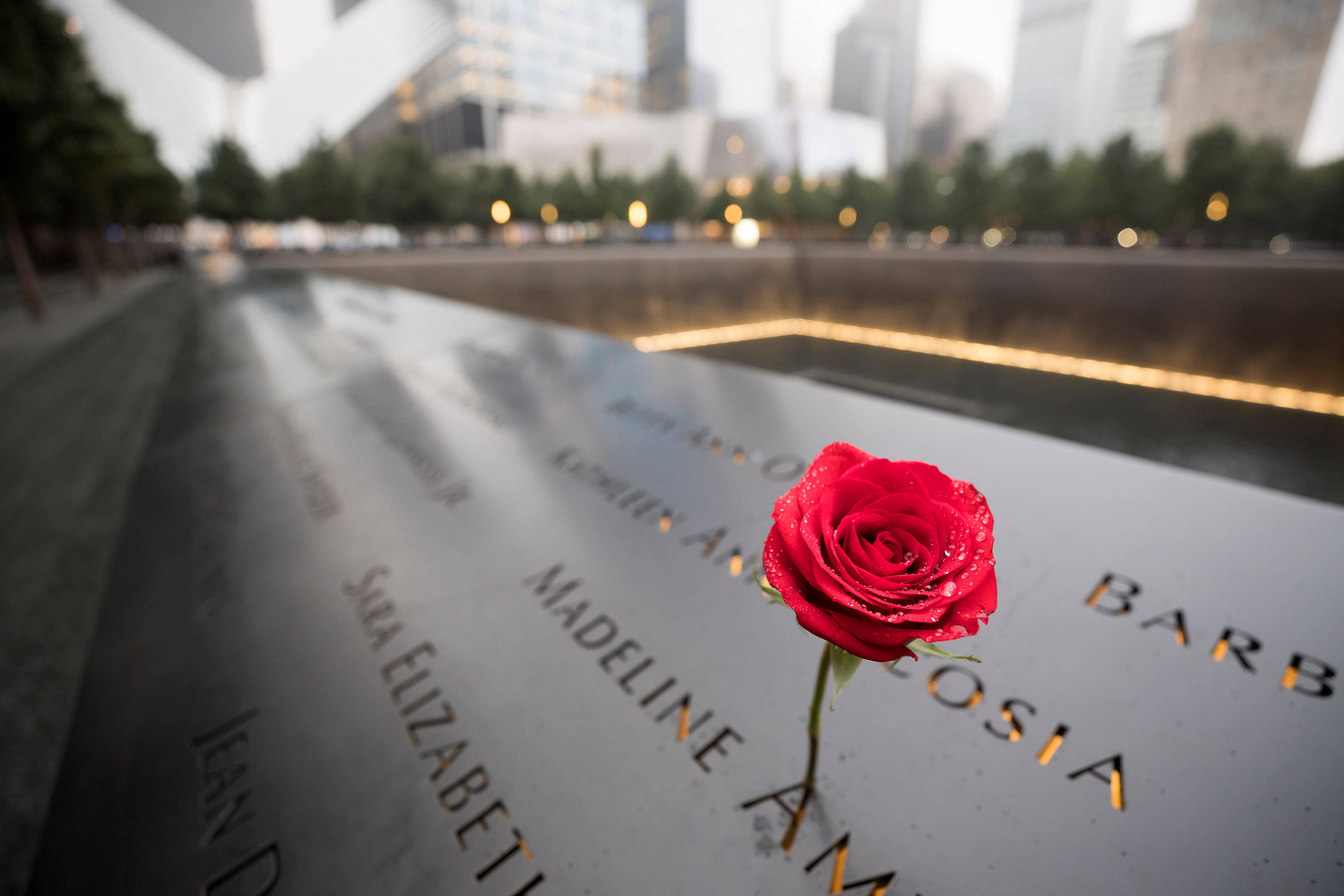 Single Red Rose At 911 Memorial Background