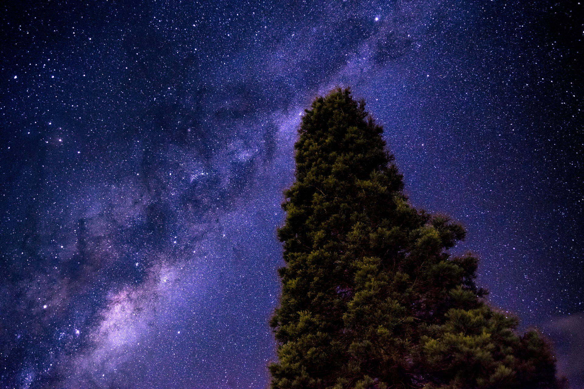 Single Tree Under The Milky Way Background