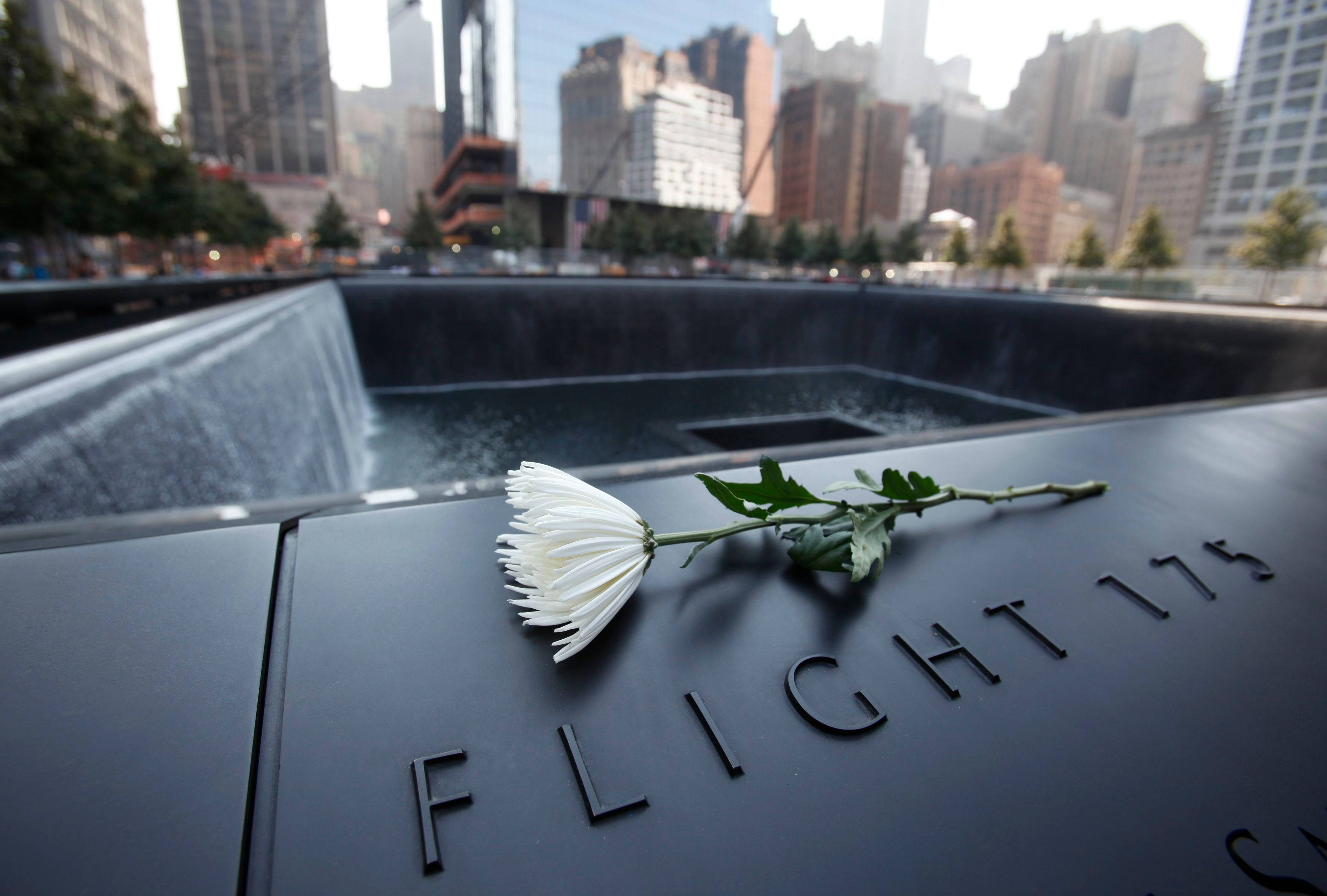 Single White Flower At 911 Memorial Background