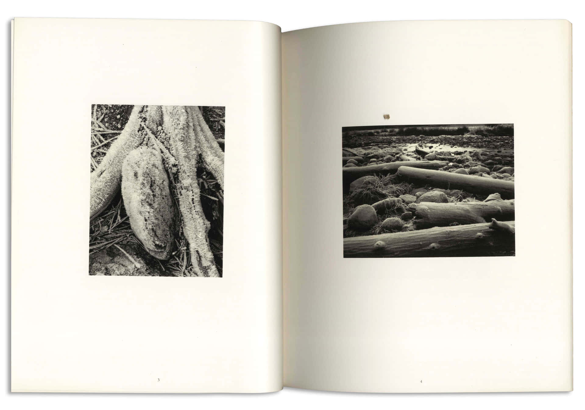 Singular Book With Photos [wallpaper] Background