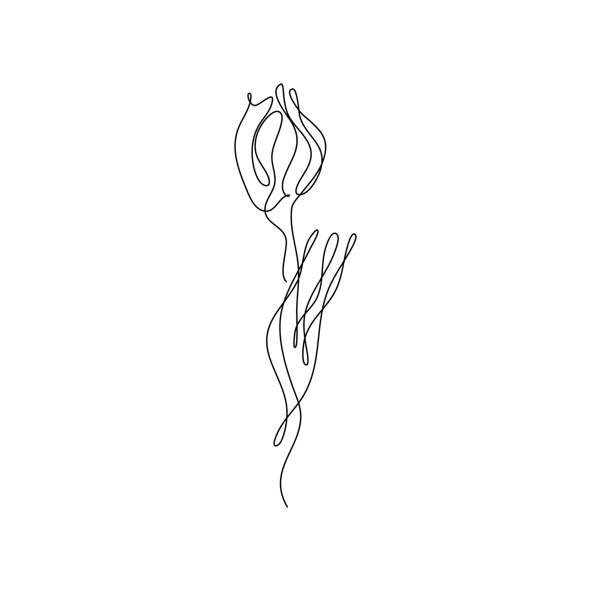 Singular Flower Scribble [wallpaper] Background
