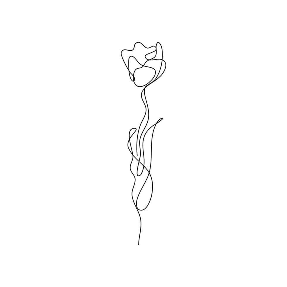 Singular Flower Sketch [wallpaper] Background