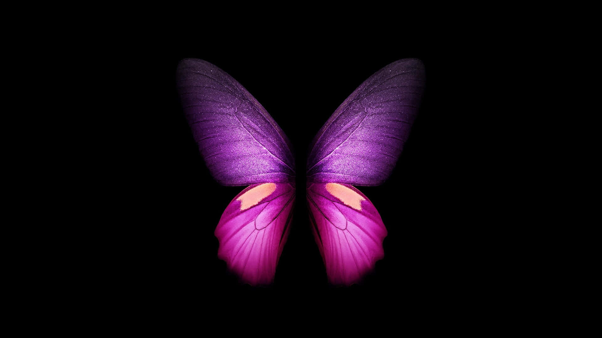 Singular Pink Glitter Butterfly Background