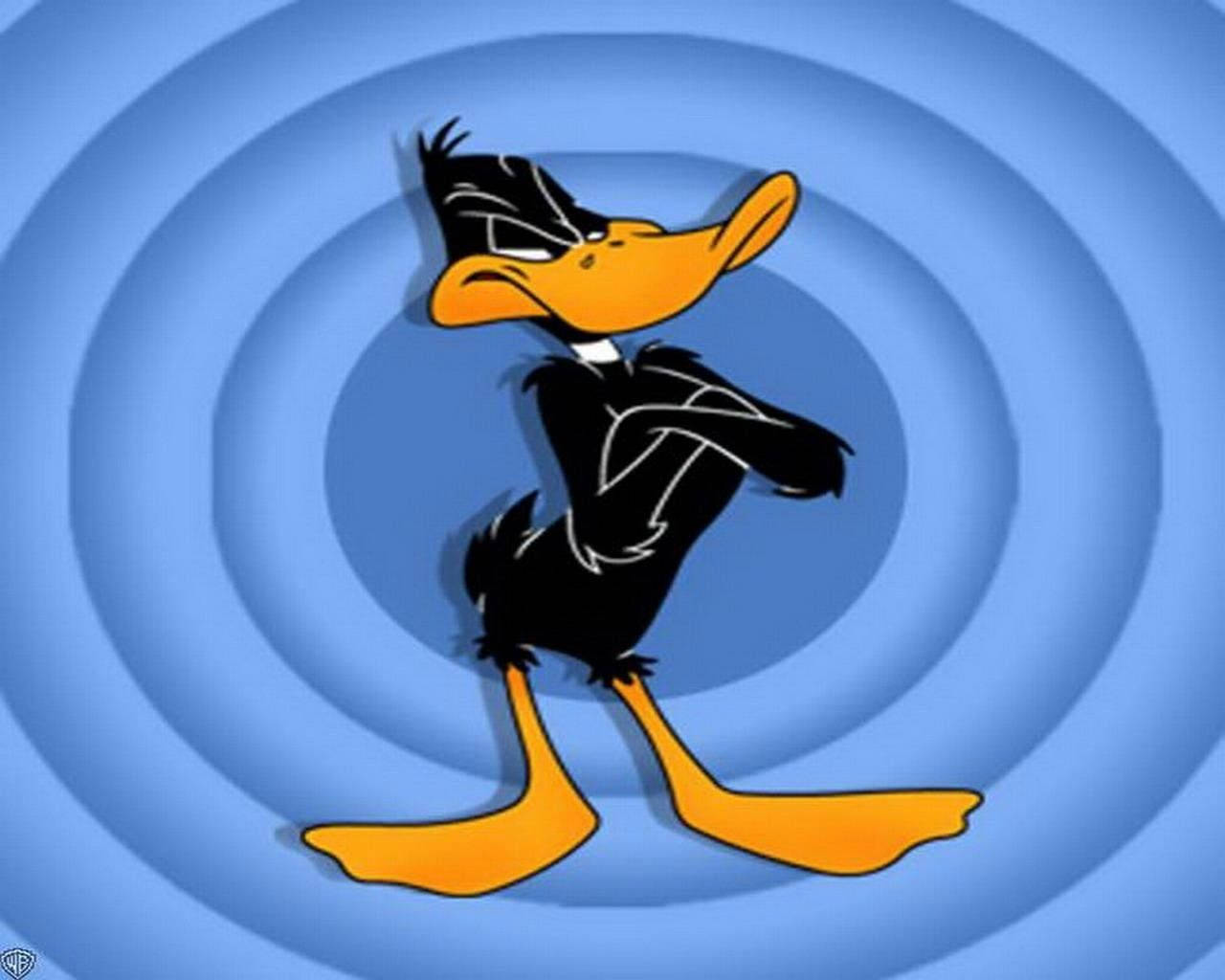Sinister Look Of Daffy Duck Background