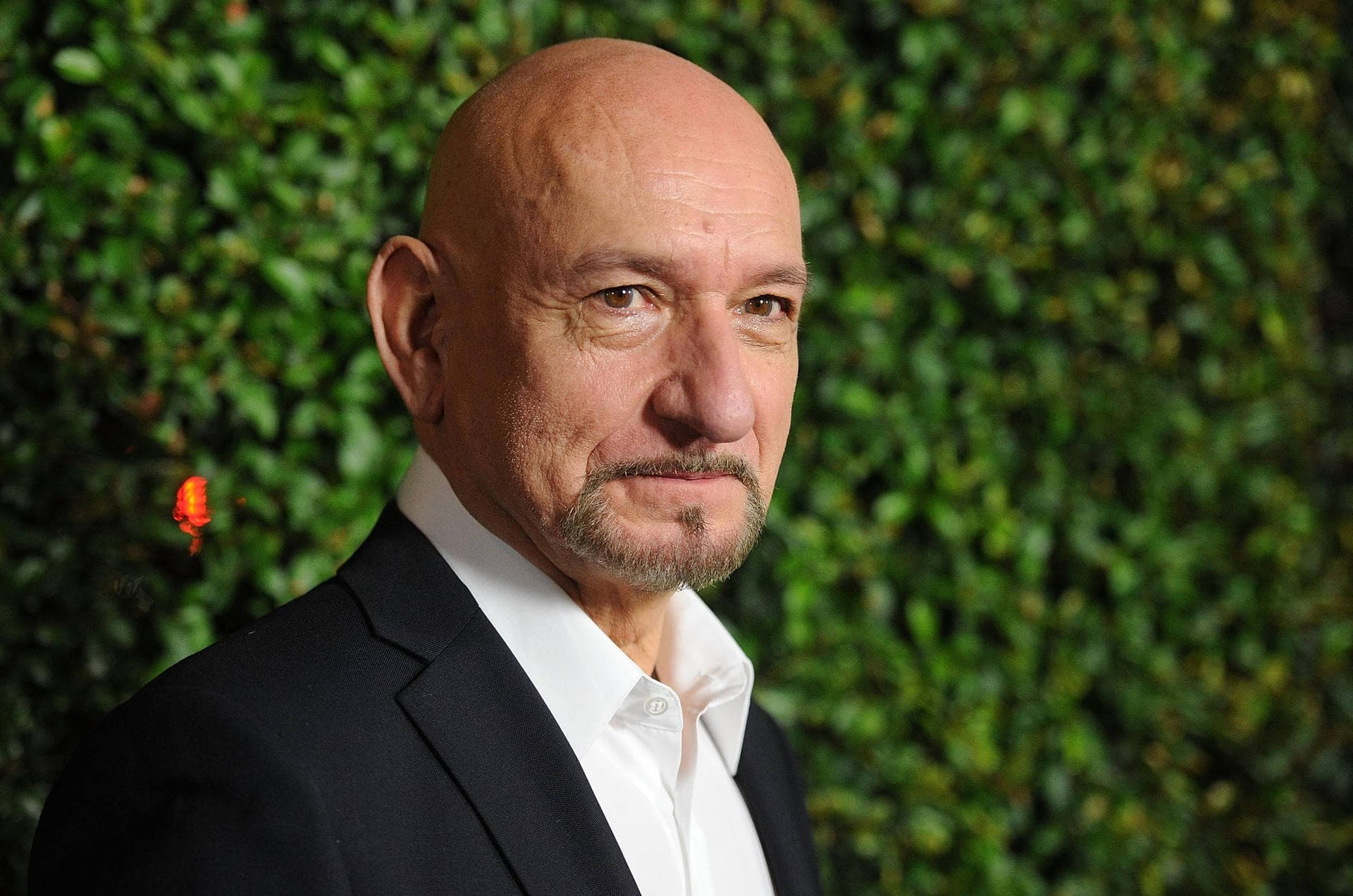 Sir Ben Kingsley At The 2011 Young Adult Premiere Background