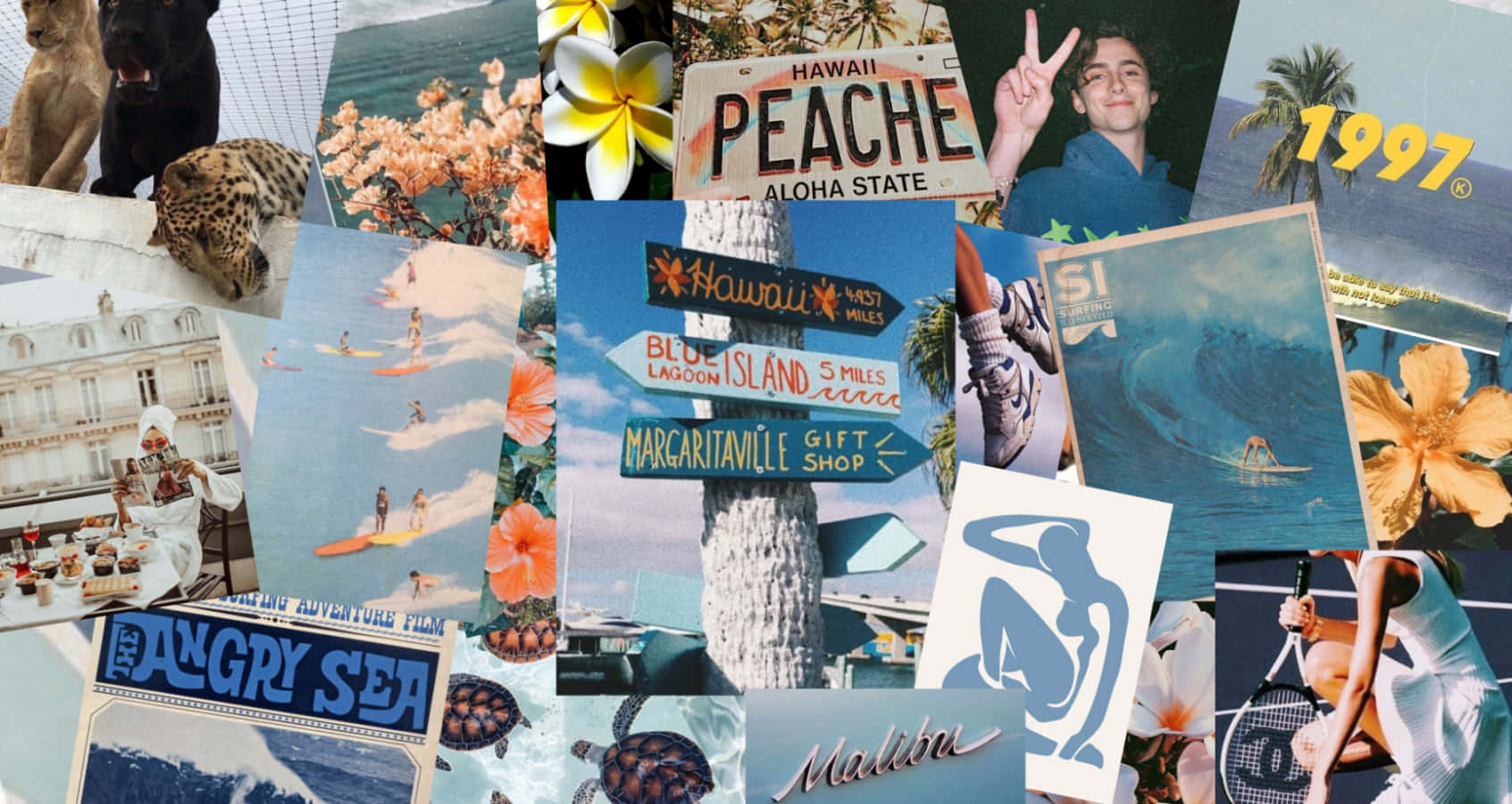 Sitting By The Beach While Enjoying The Aesthetics Of A Summer Laptop Background