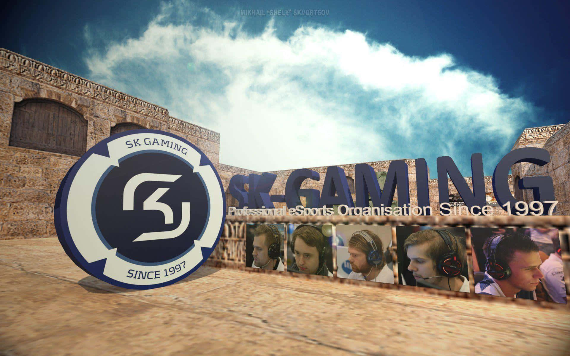 Sk Gaming In Action Background