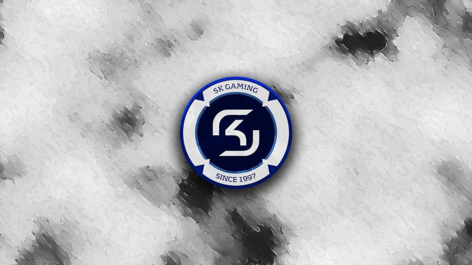 Sk Gaming In Action Background