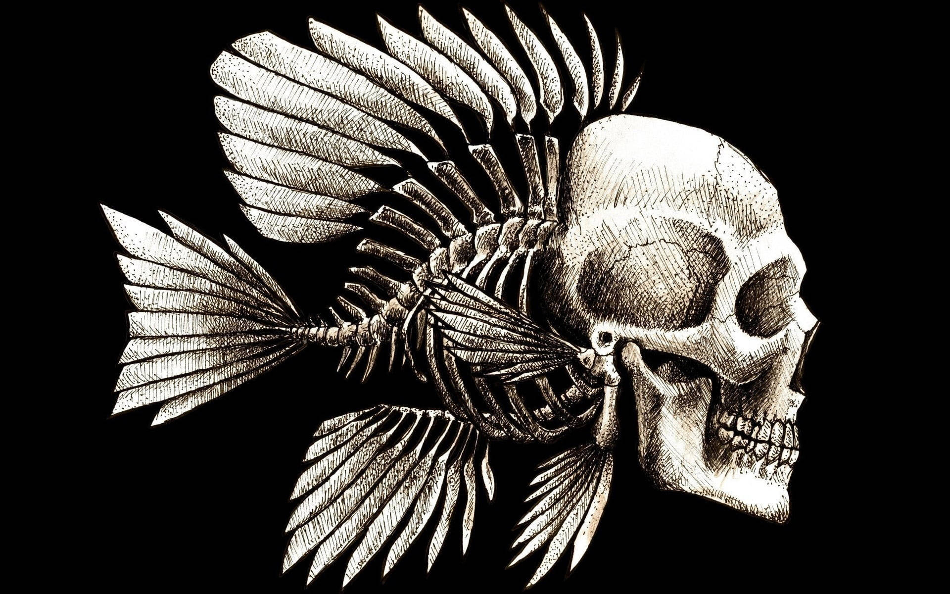 Skeleton Aesthetic Fish Bone Solid Black Background