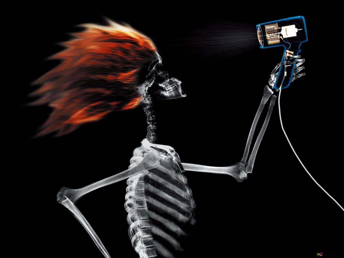 Skeleton Holding A Cell Phone