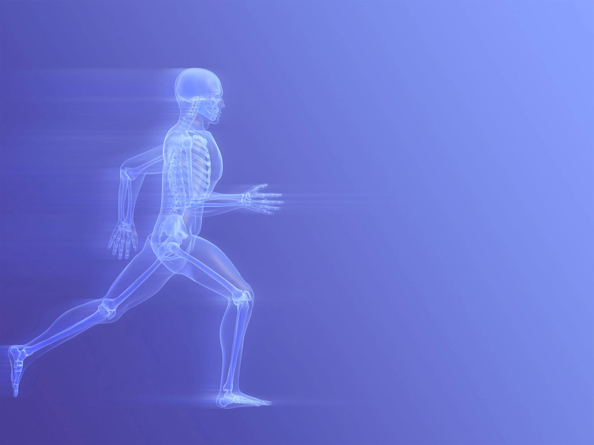 Skeleton Man In Running Therapy Position Background