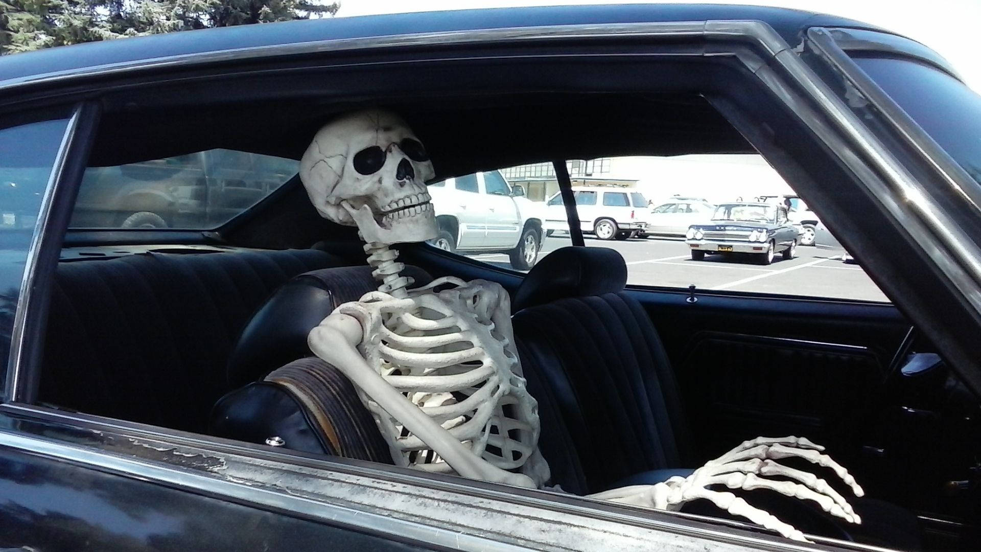 Skeleton Meme In The Car Background
