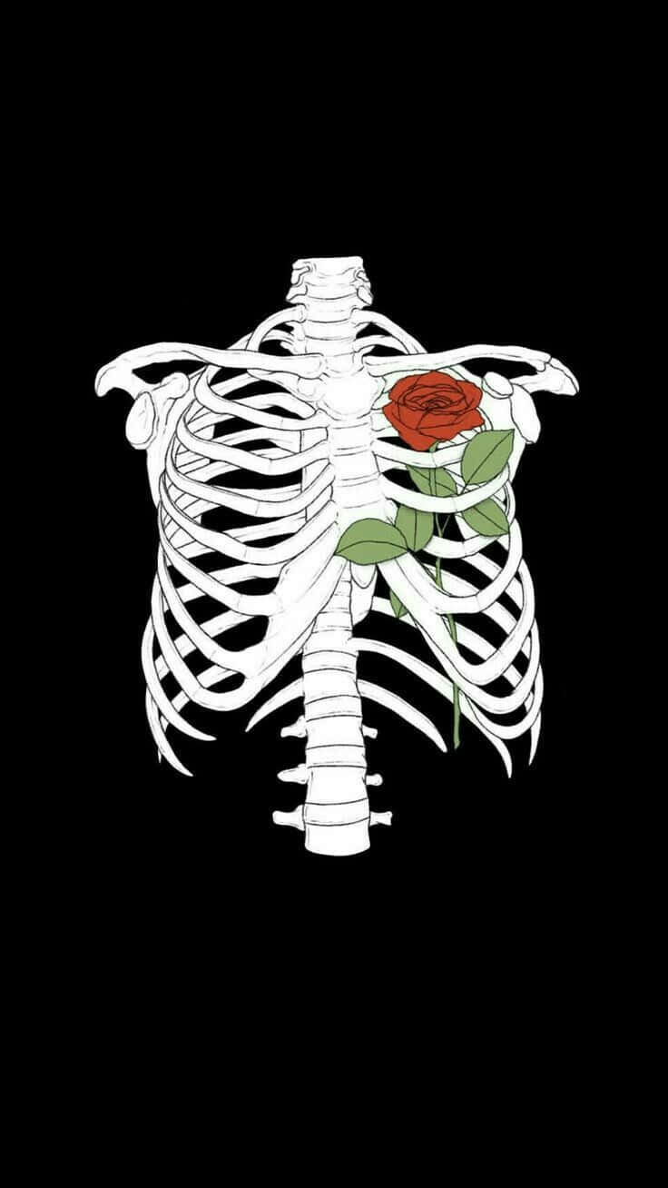Skeleton Rose Embrace Dark Aesthetic.jpg Background