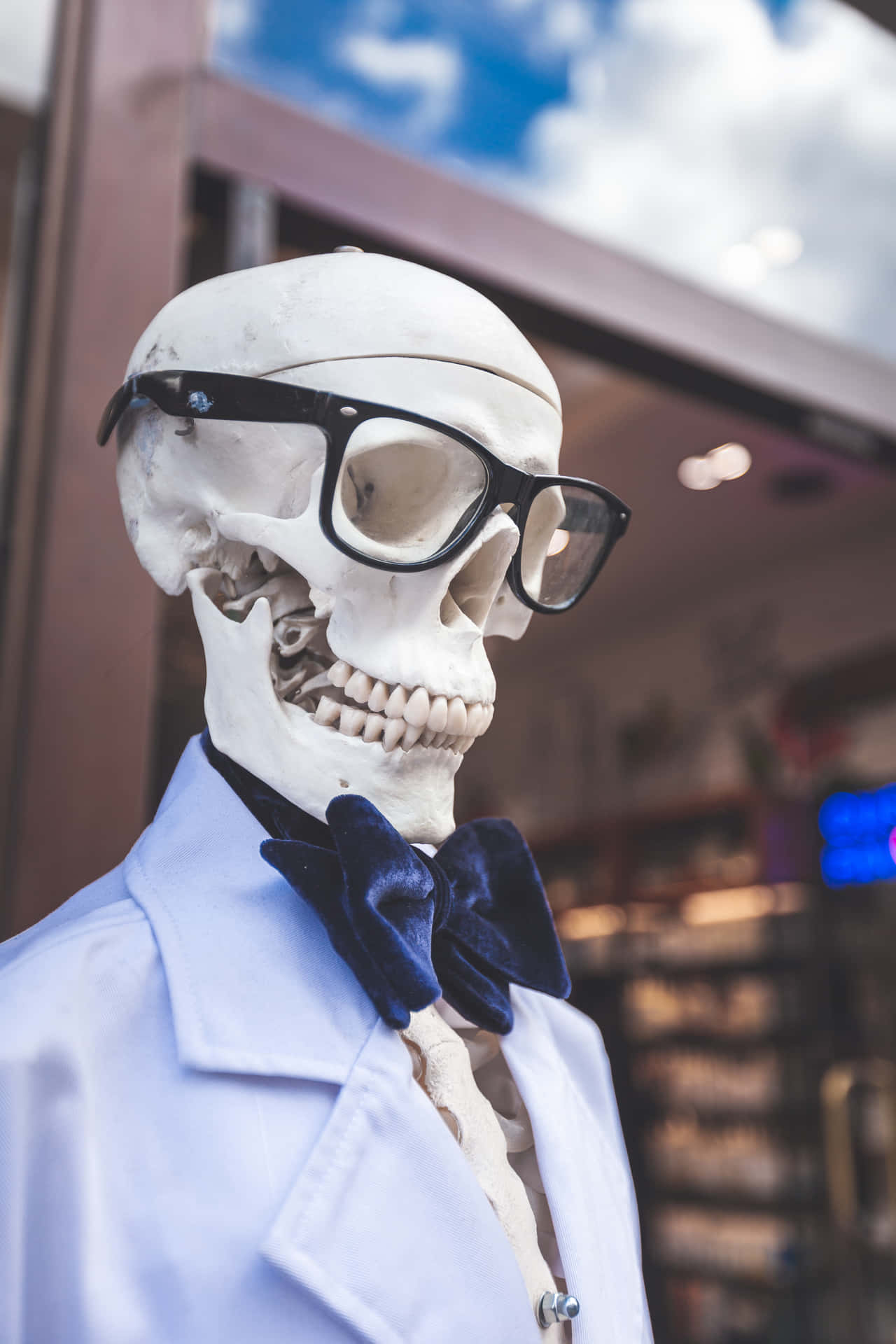 Skeleton With Glasses Funny Pfp For Tiktok Background