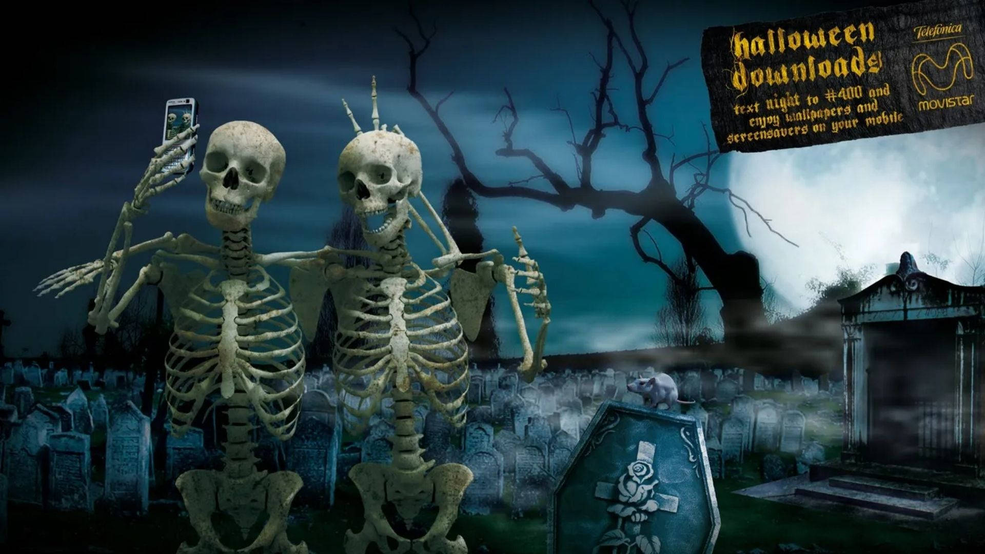 Skeletons Meme Cemetery Selfie Background