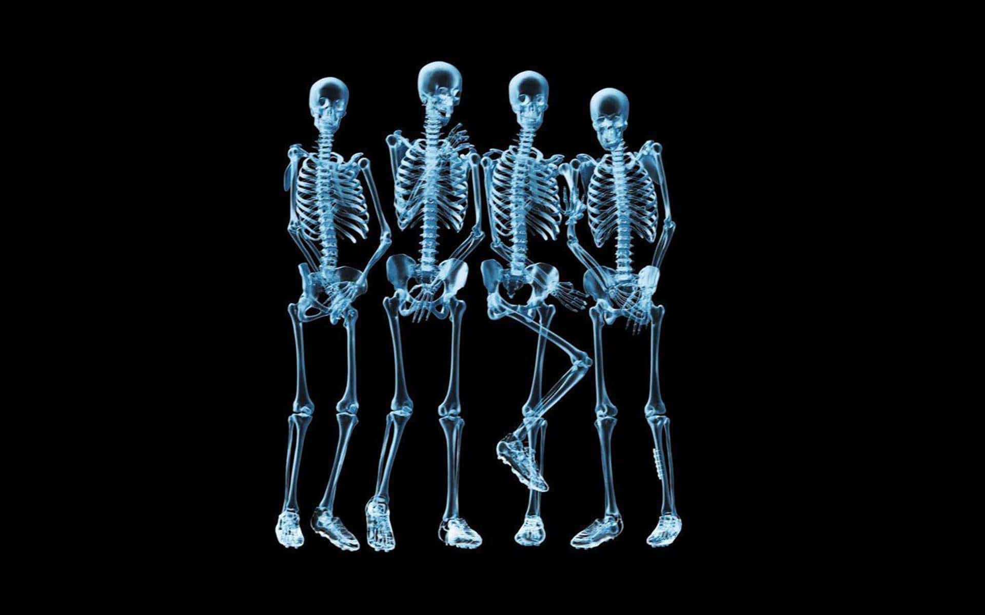 Skeletons Standing In A Row On A Black Background Background