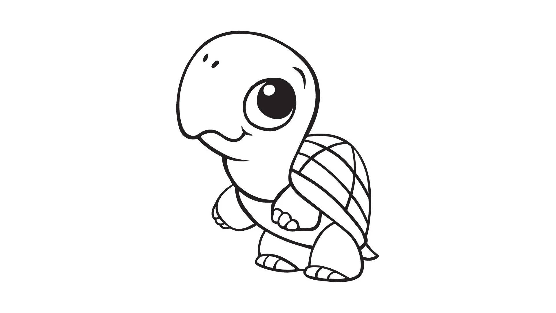 Sketch Cartoon Turtle Background