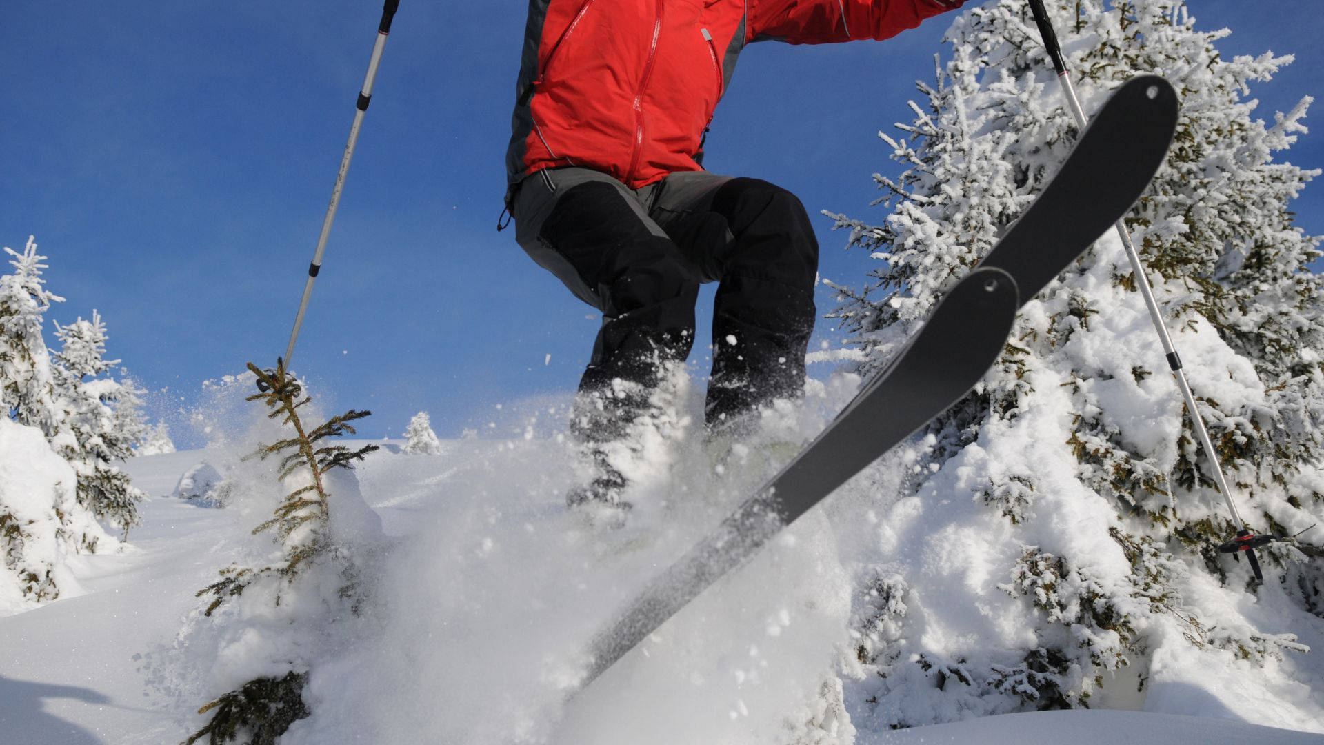 Ski Jumping Take Off