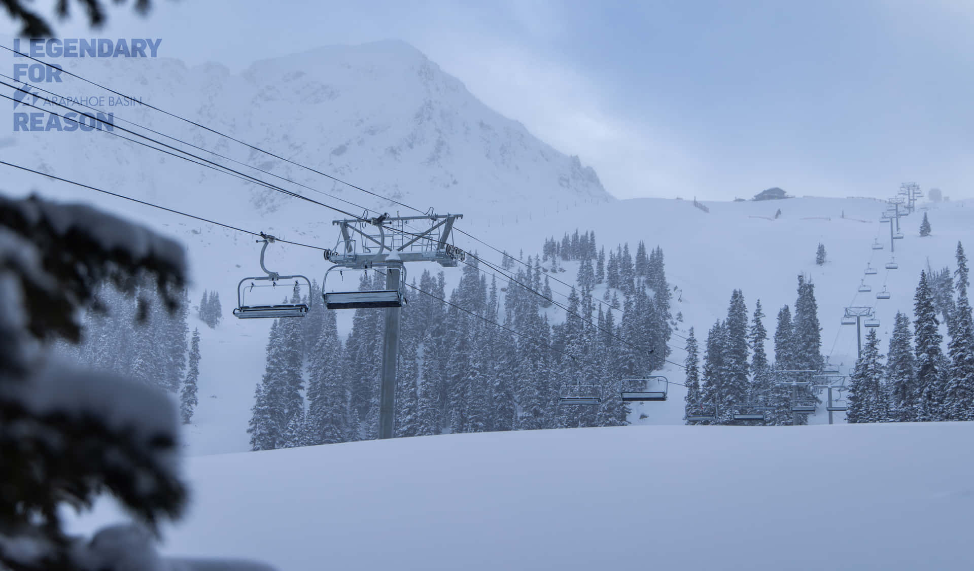 Ski Mountain And Trees Background