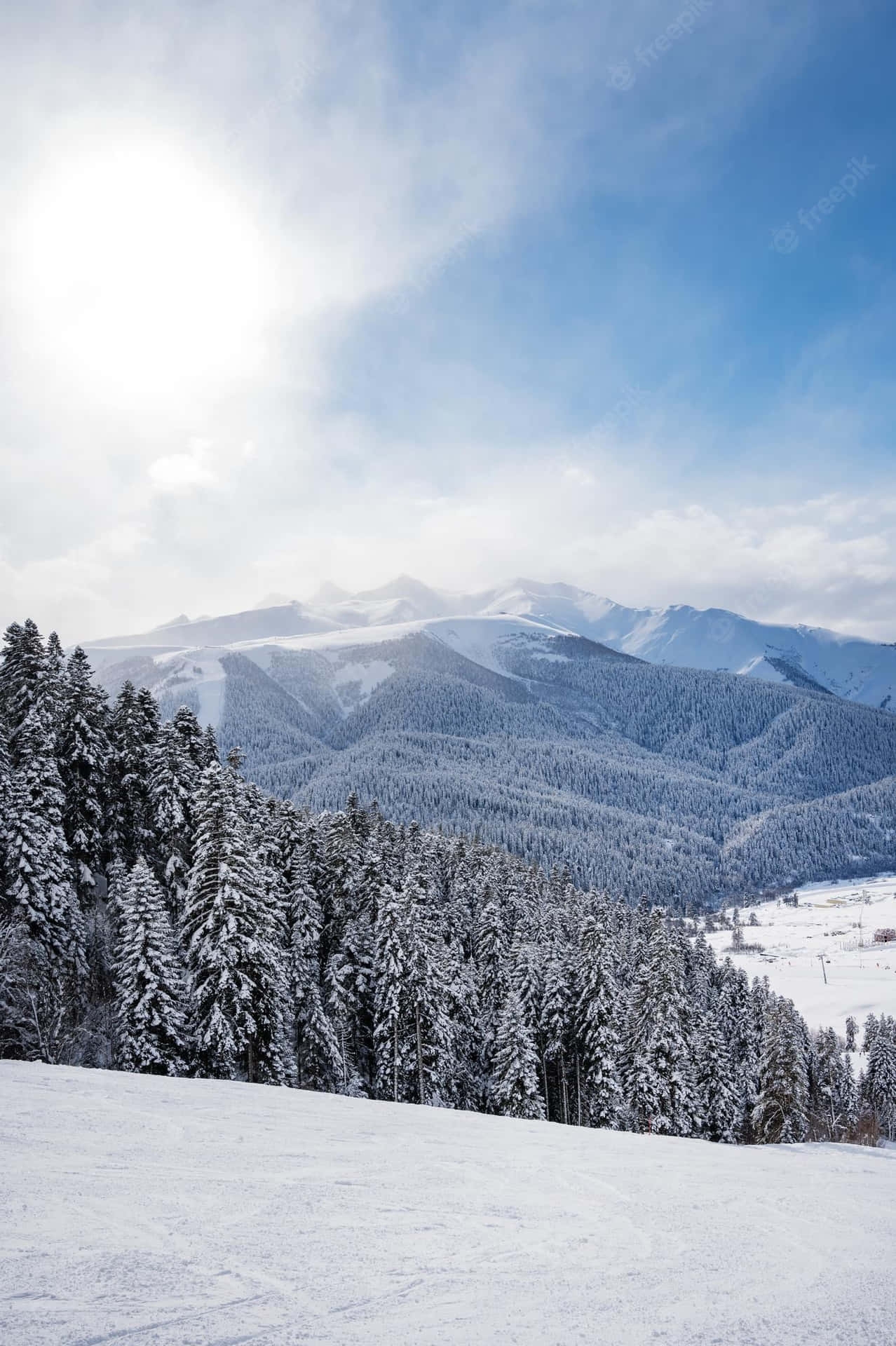 Ski Mountain With Trees Background