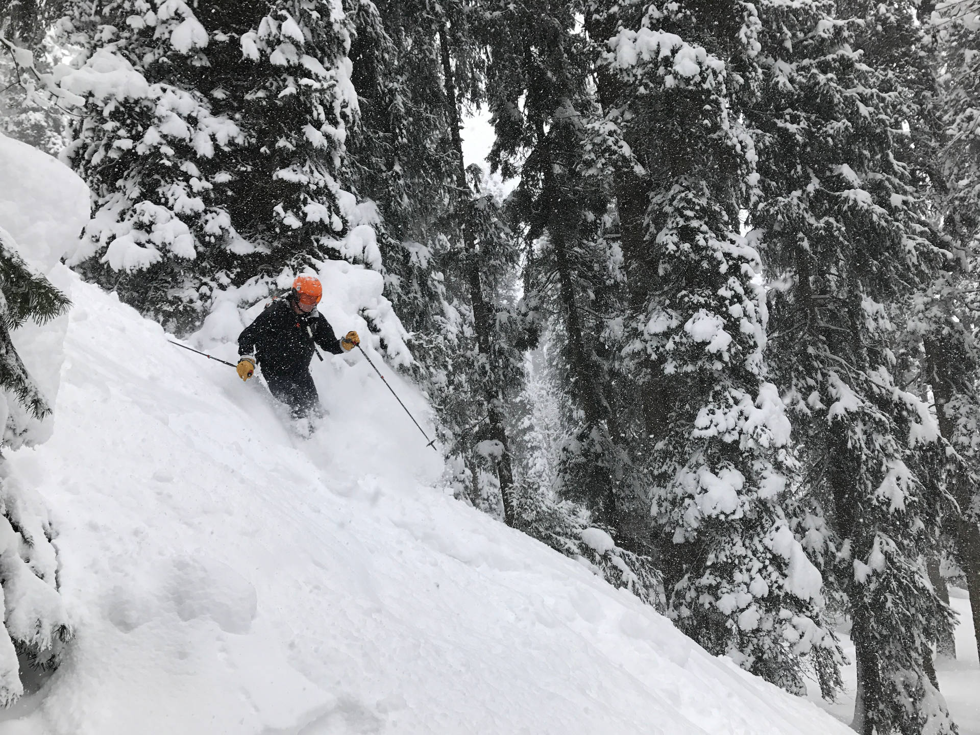 Skiing Snow Hill Background