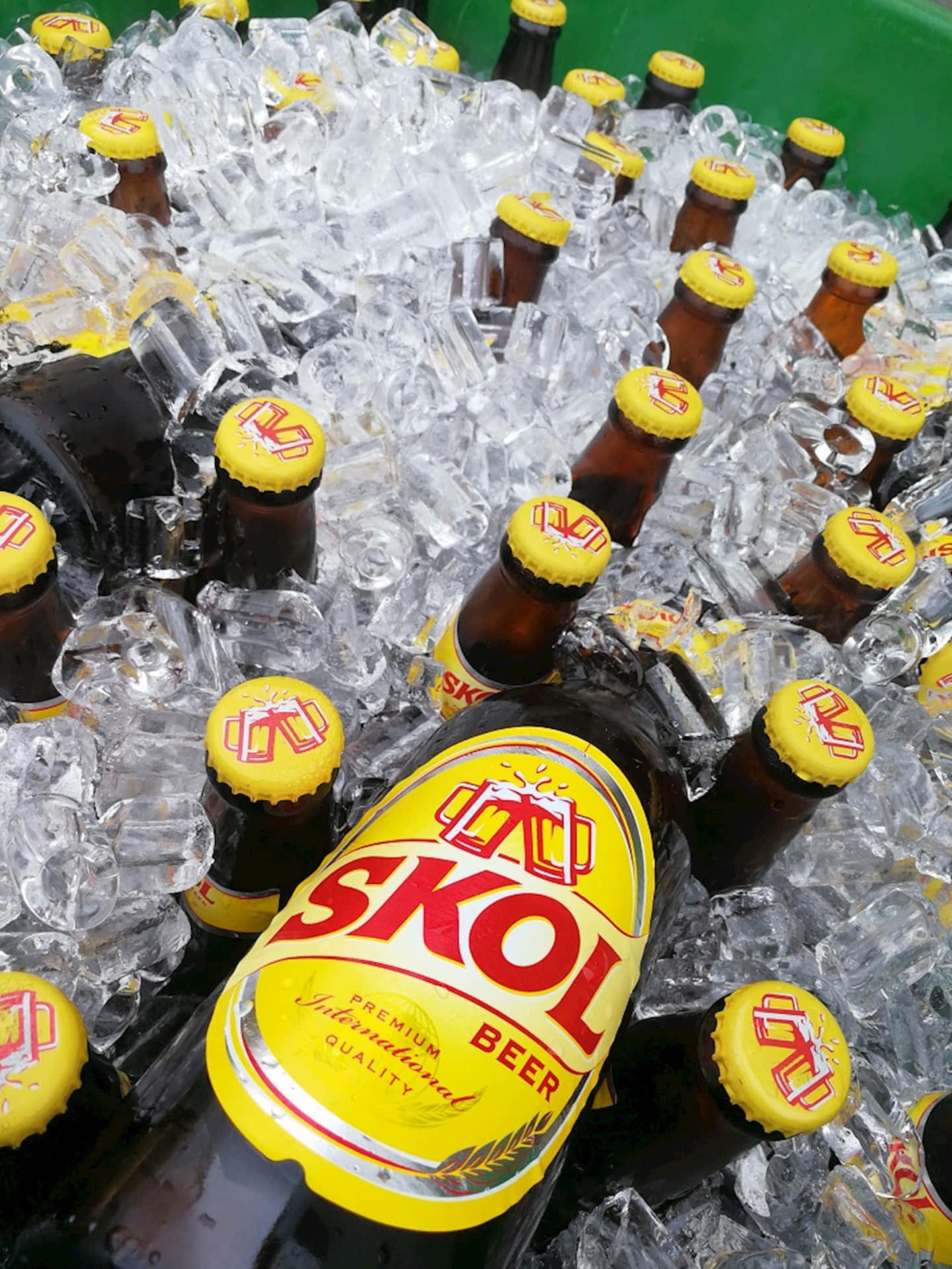 Skol Beer Bottles Chilledon Ice Background