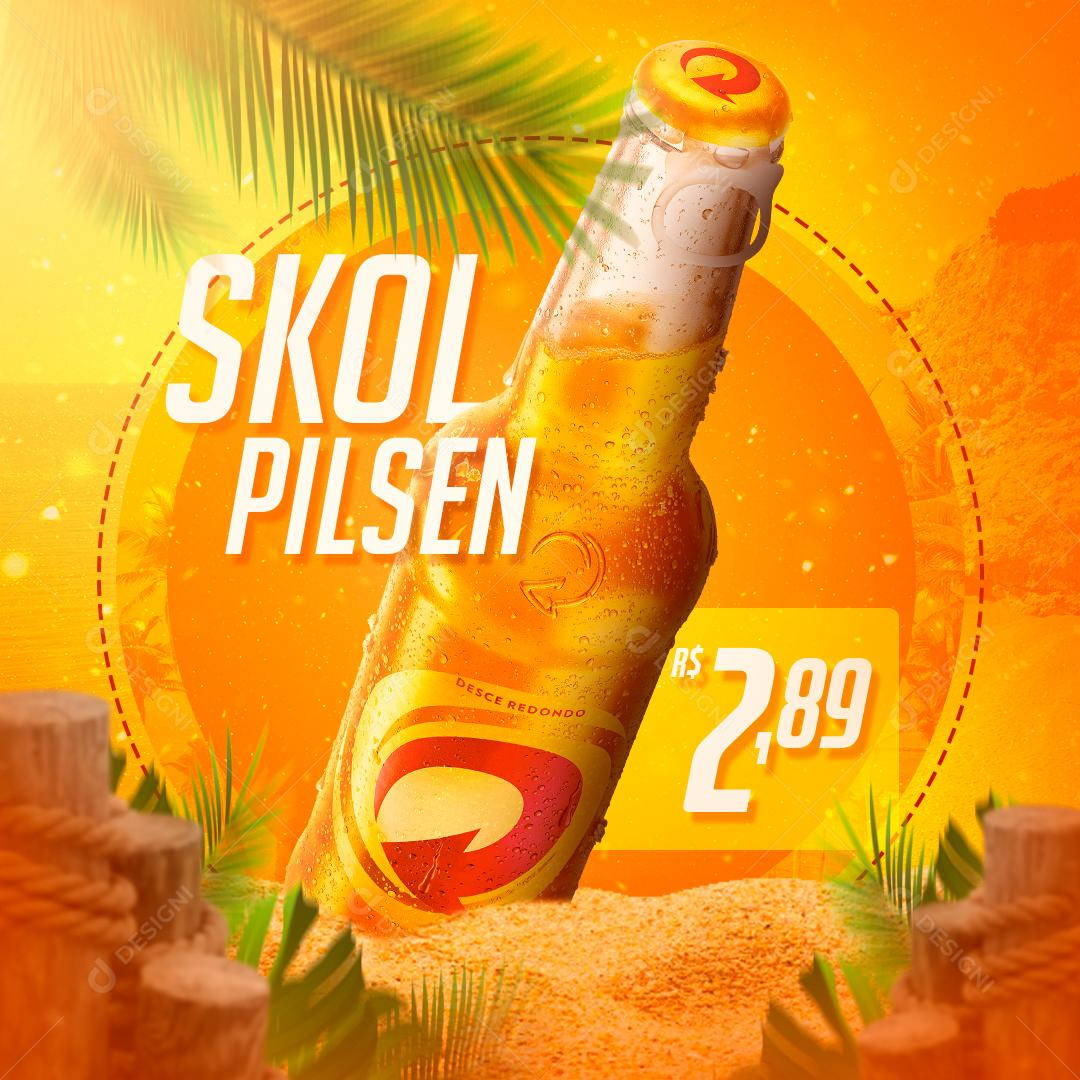 Skol Pilsen Price