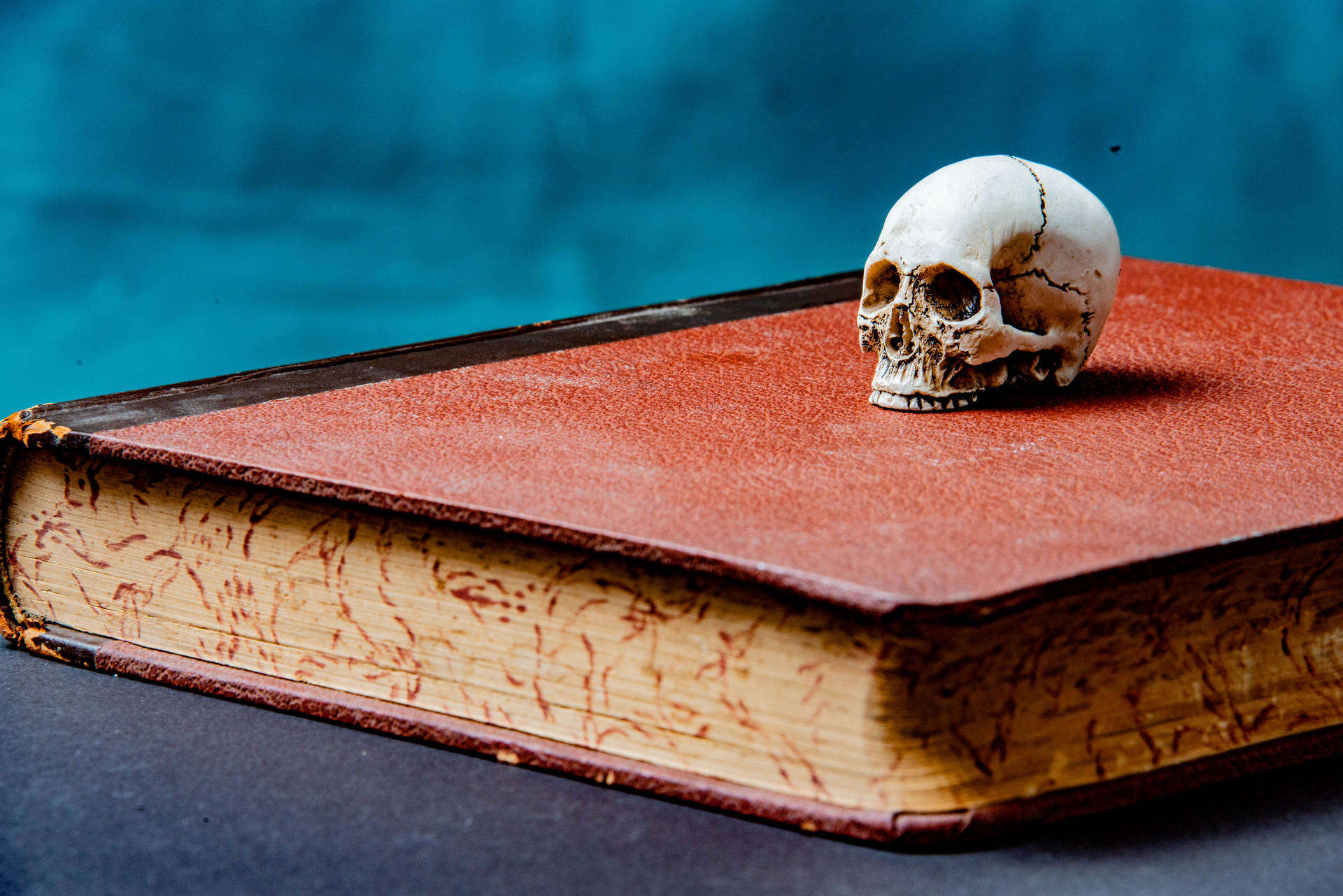 Skull On A Book Halloween Computer Background